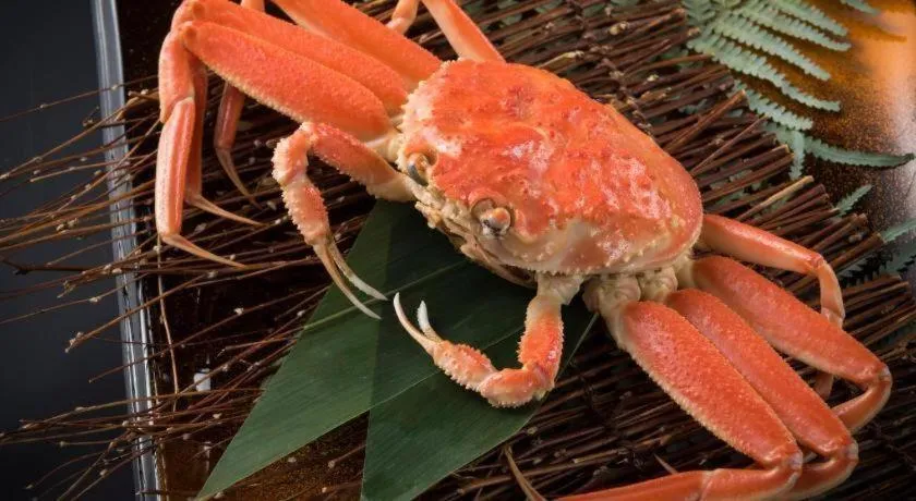 Mikuni Ocean Resort & Hotel