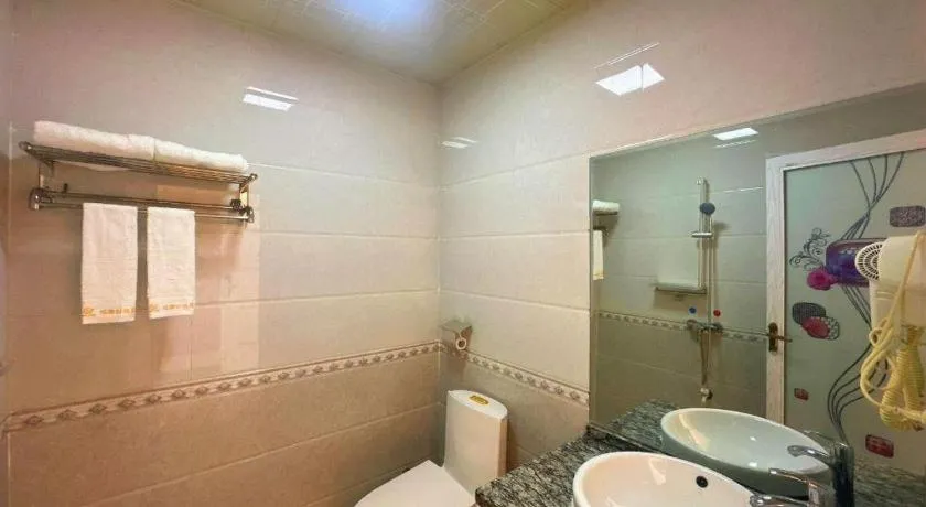 Borrman Hotel Lipu Central Plaza