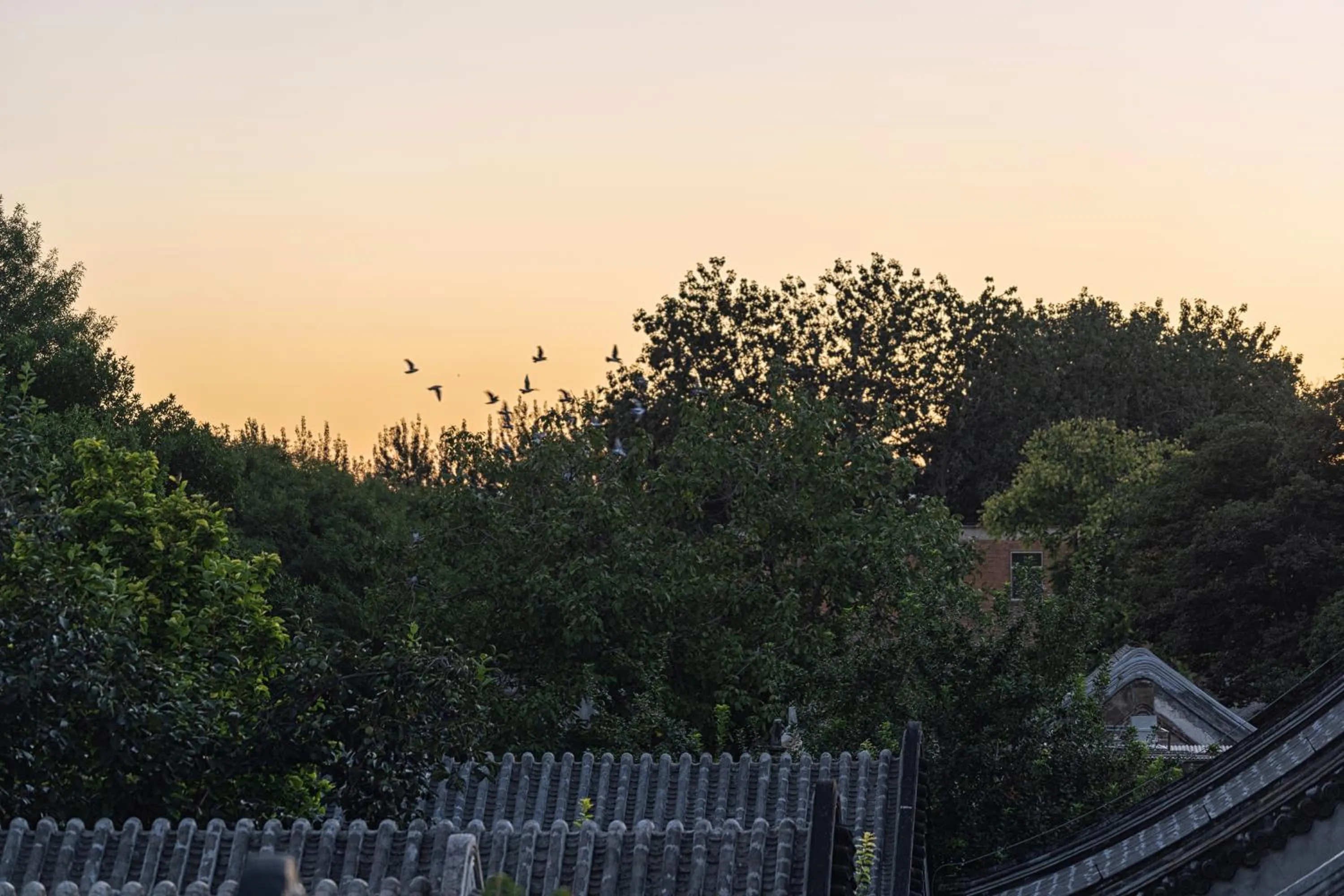 Beijing Le Zai Nan Luo Gu Xiang Wang Fu Jing Forbidden City Courtyard Hotel&Free laundry service&Free coffee &Paid Dumpling experience service