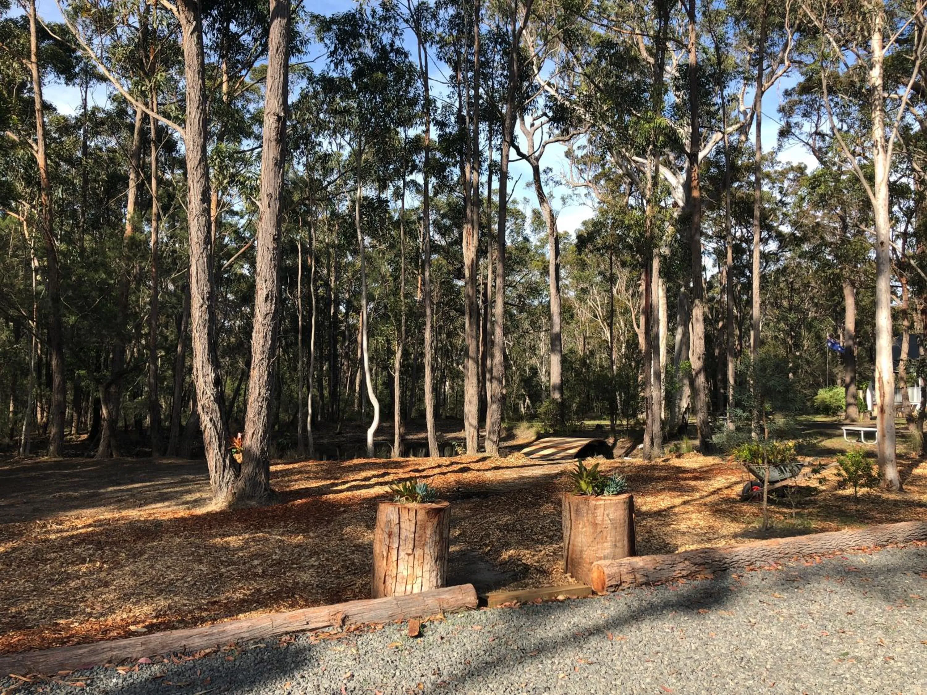 Garden in Bay and Bush Jervis Bay - Nature Retreat