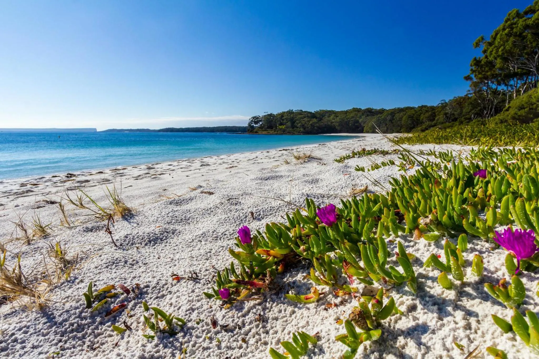 Beach in Bay and Bush Jervis Bay - Nature Retreat