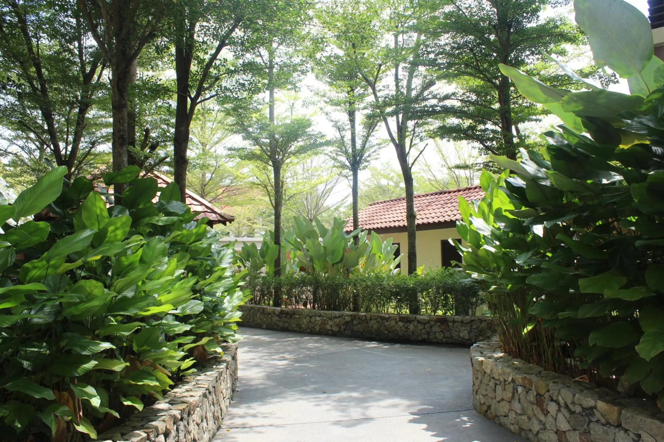 Garden in Espira Kinrara
