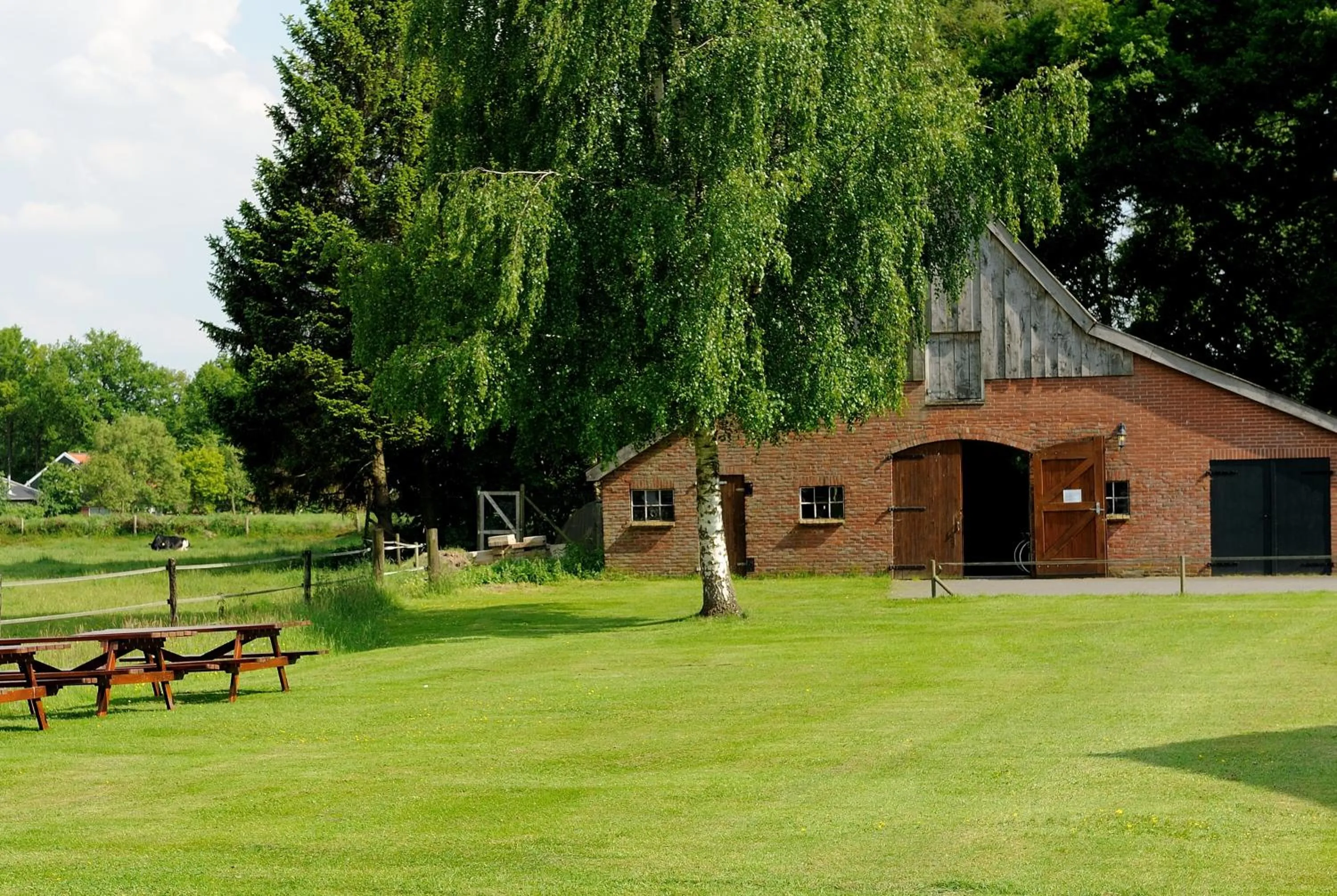 Garden view in Hotel de Landmarke by Flow