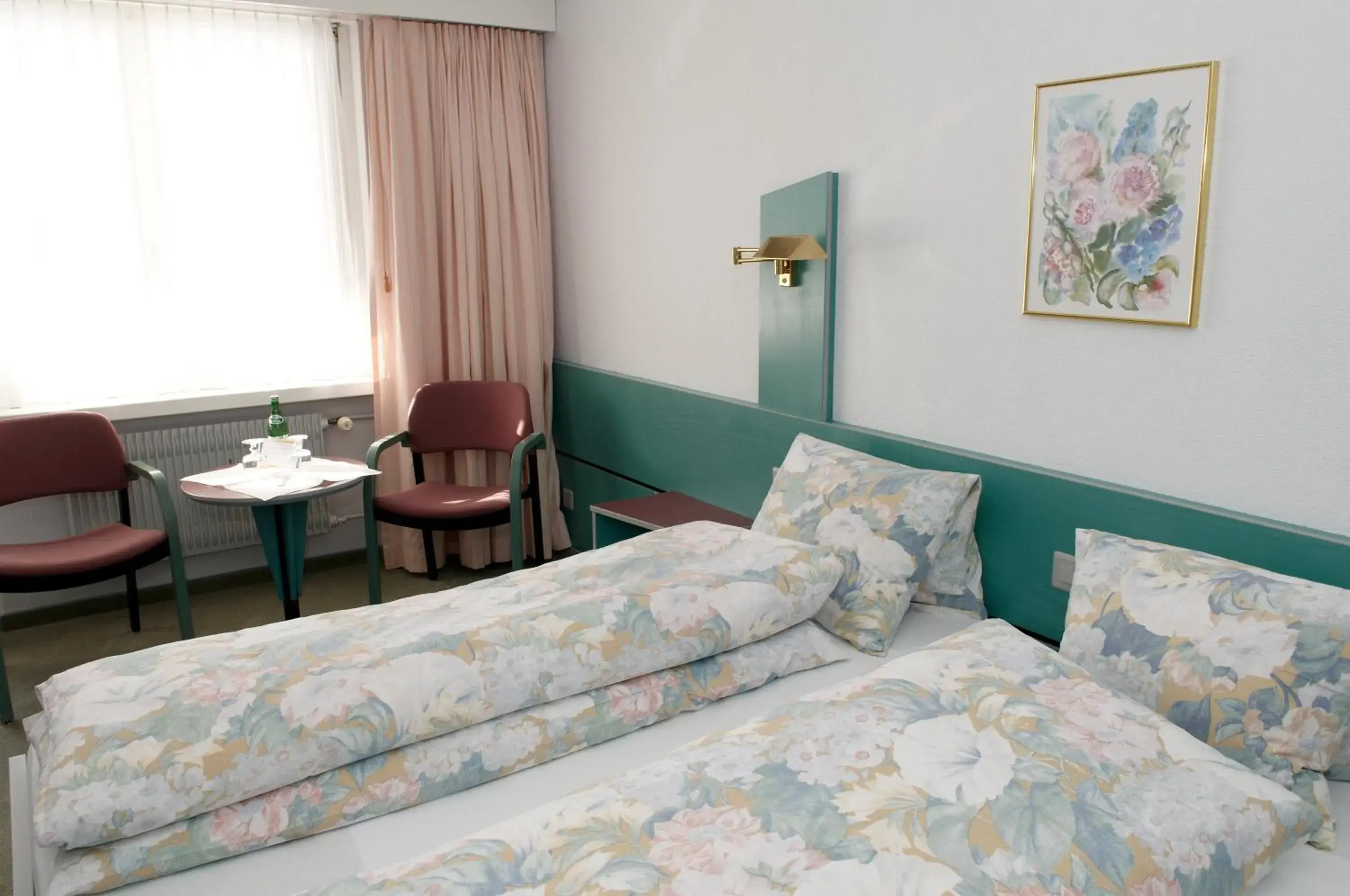 Double Room - single occupancy in Hotel-Restaurant Sternen Double Room - single occupancy in Hotel-Restaurant Sternen
