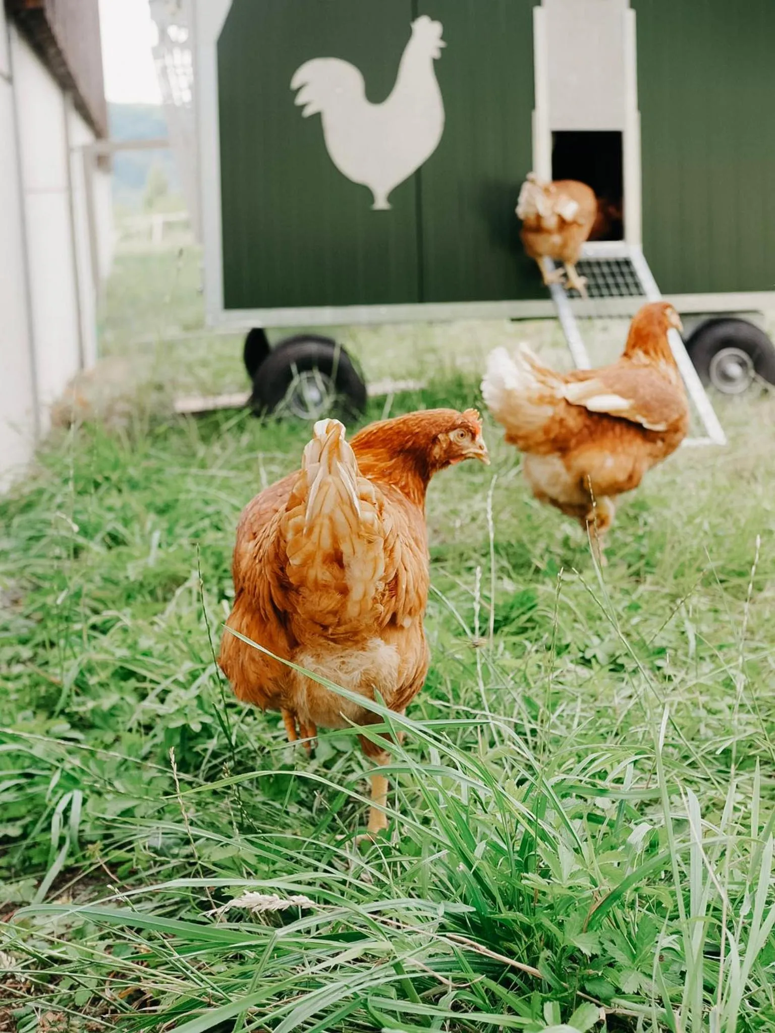 Roudenhaff Guestfarm