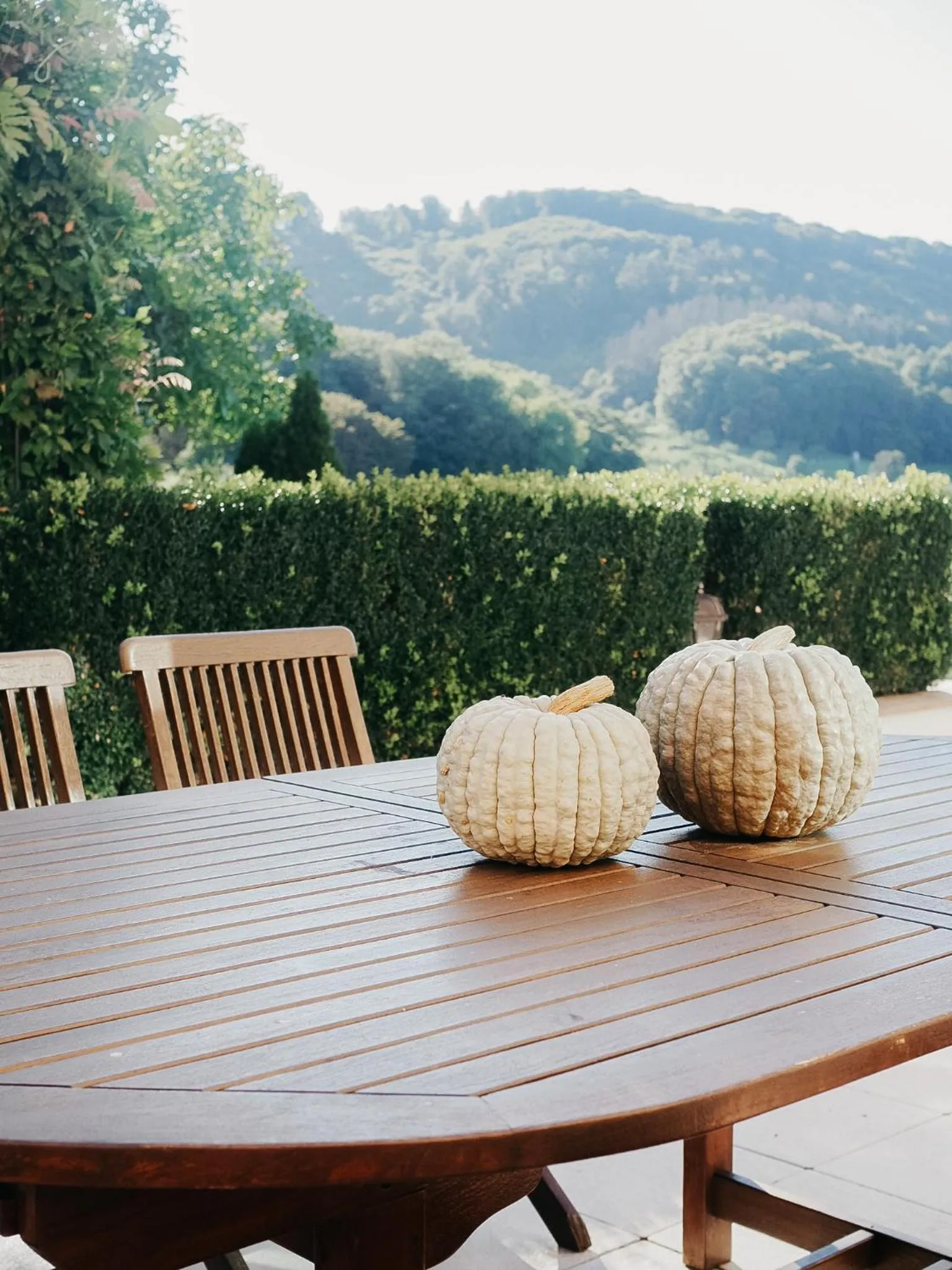 Balcony/Terrace in Roudenhaff Guestfarm