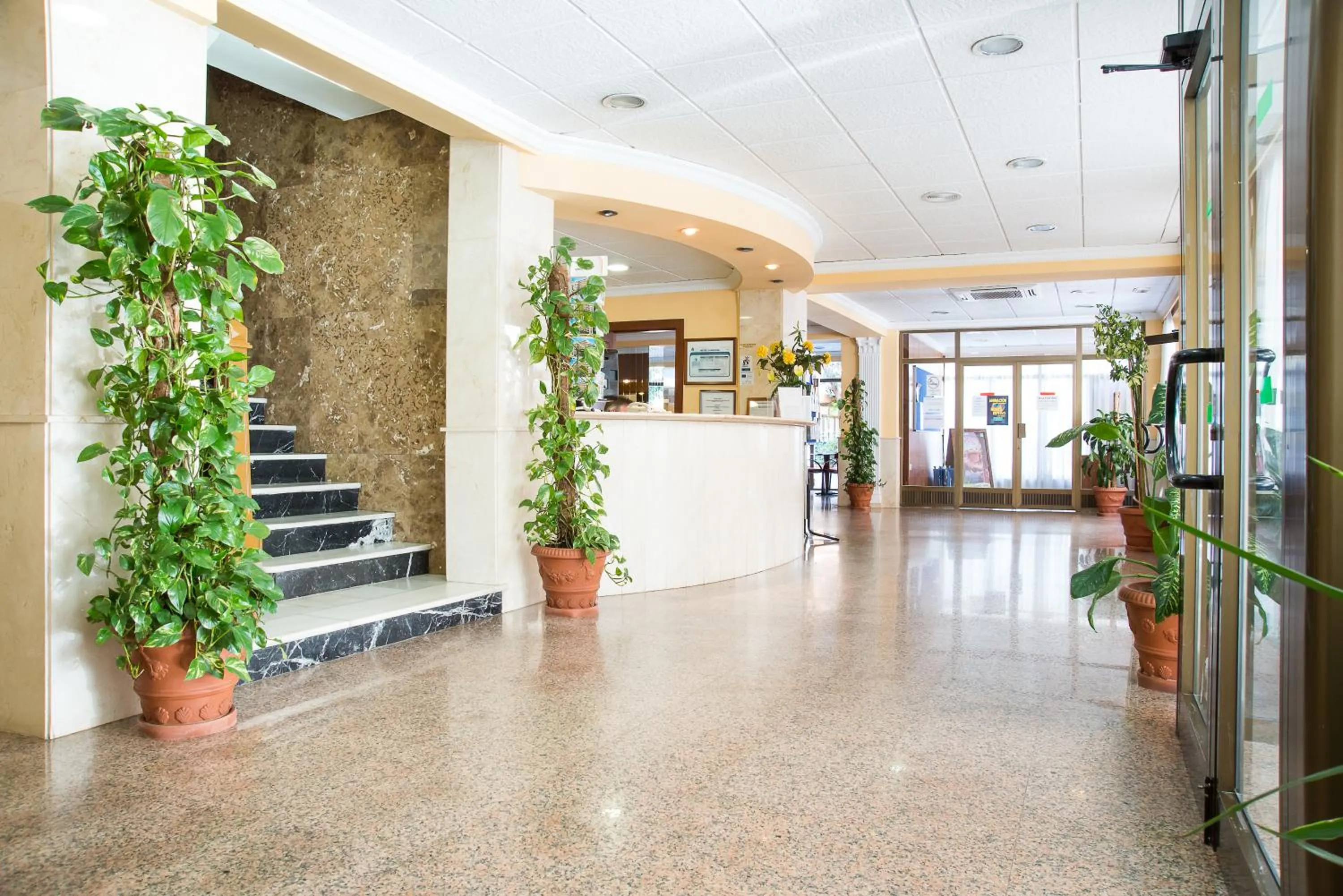 Lobby or reception in Hotel Camposol
