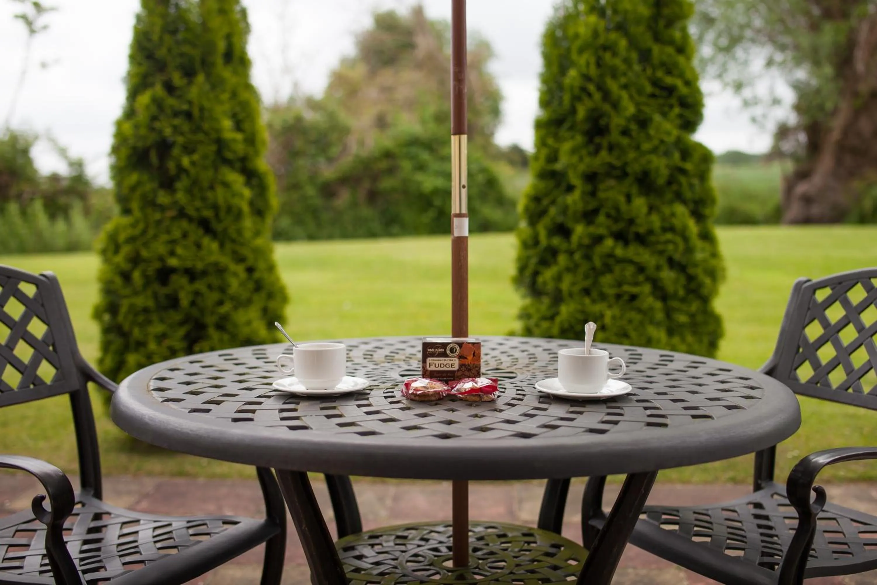 Patio in Hollies Hotel