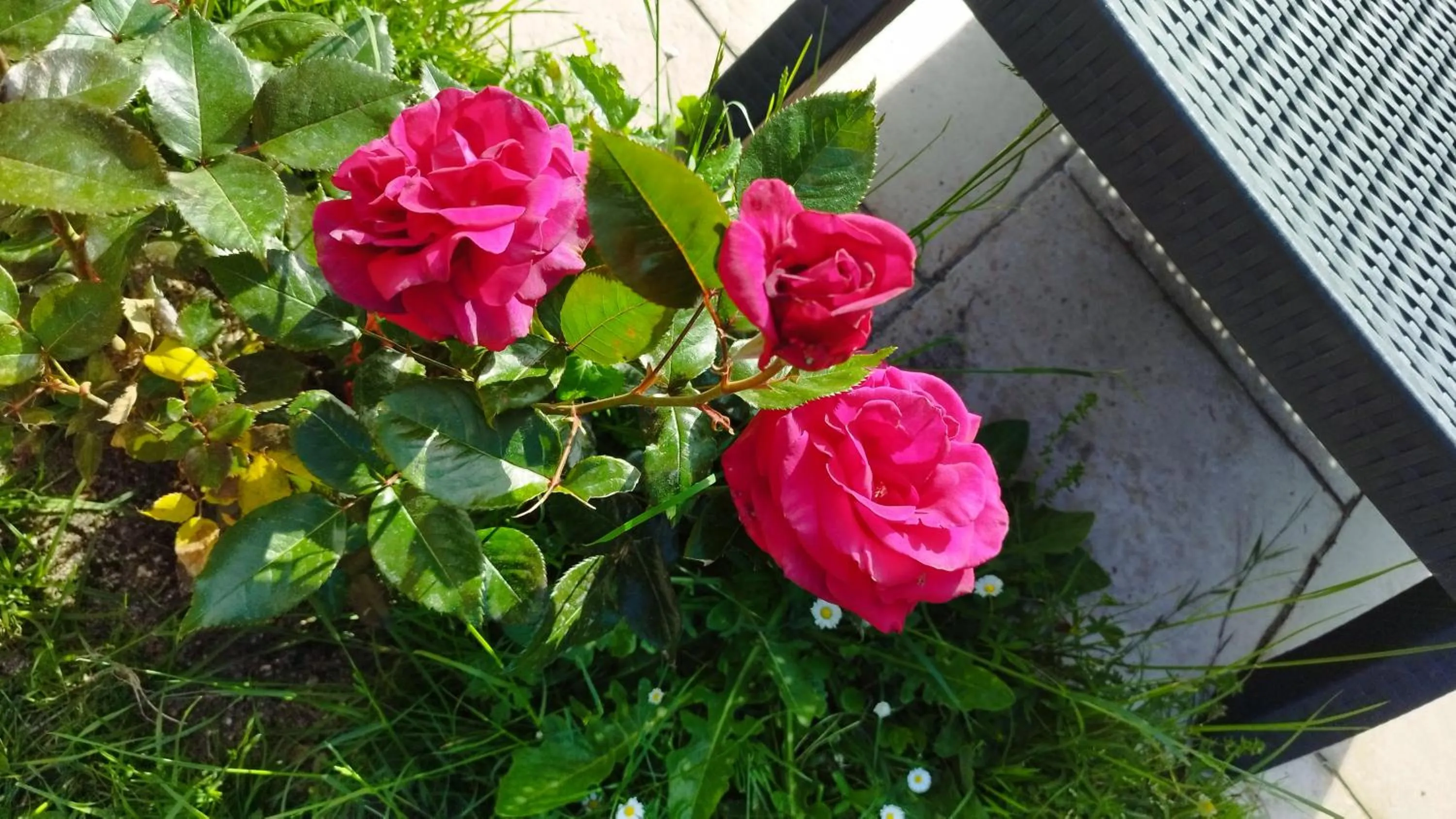 Day in Hotel Moulin de Villiers