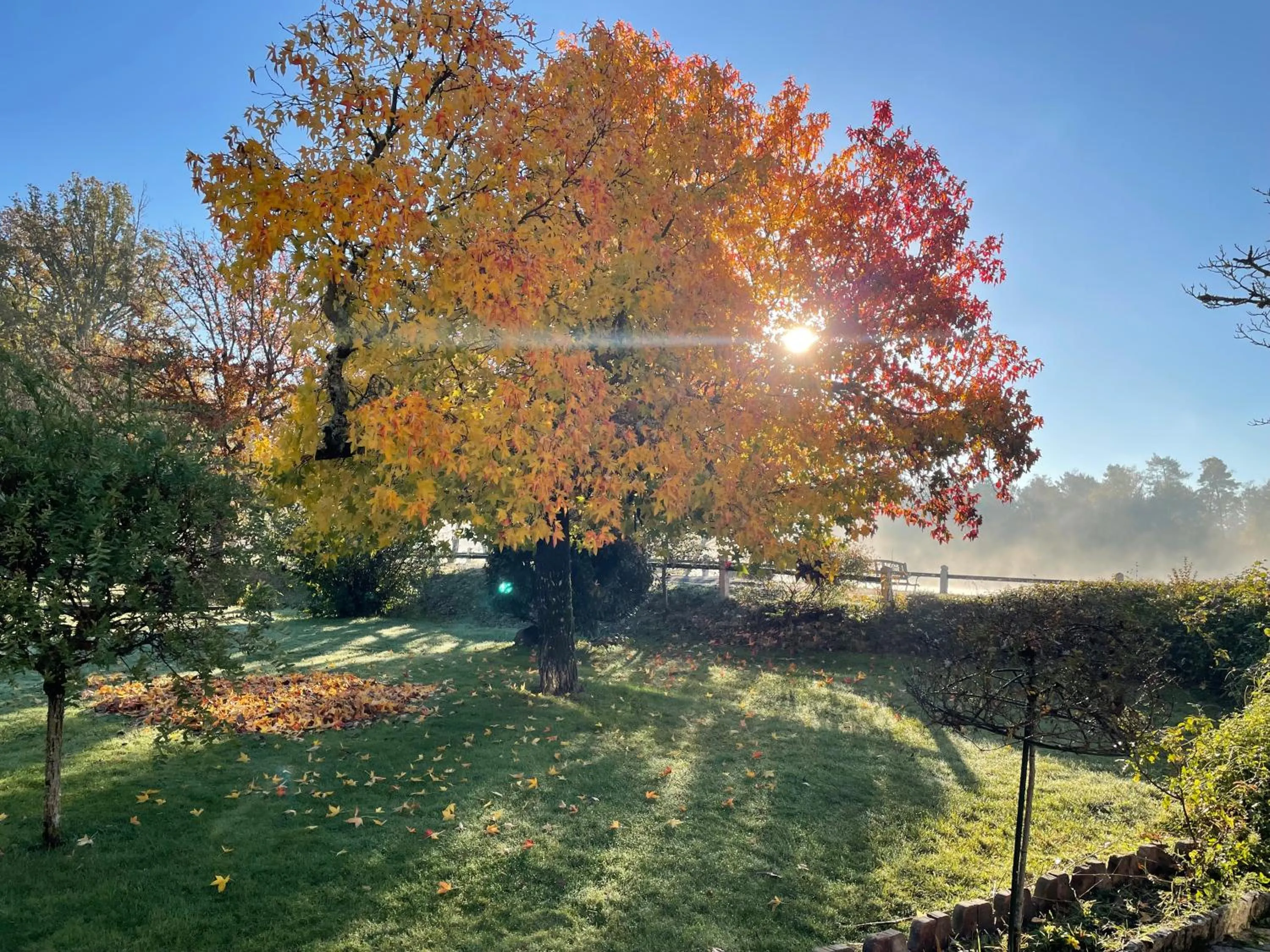 Natural landscape in Hotel Moulin de Villiers