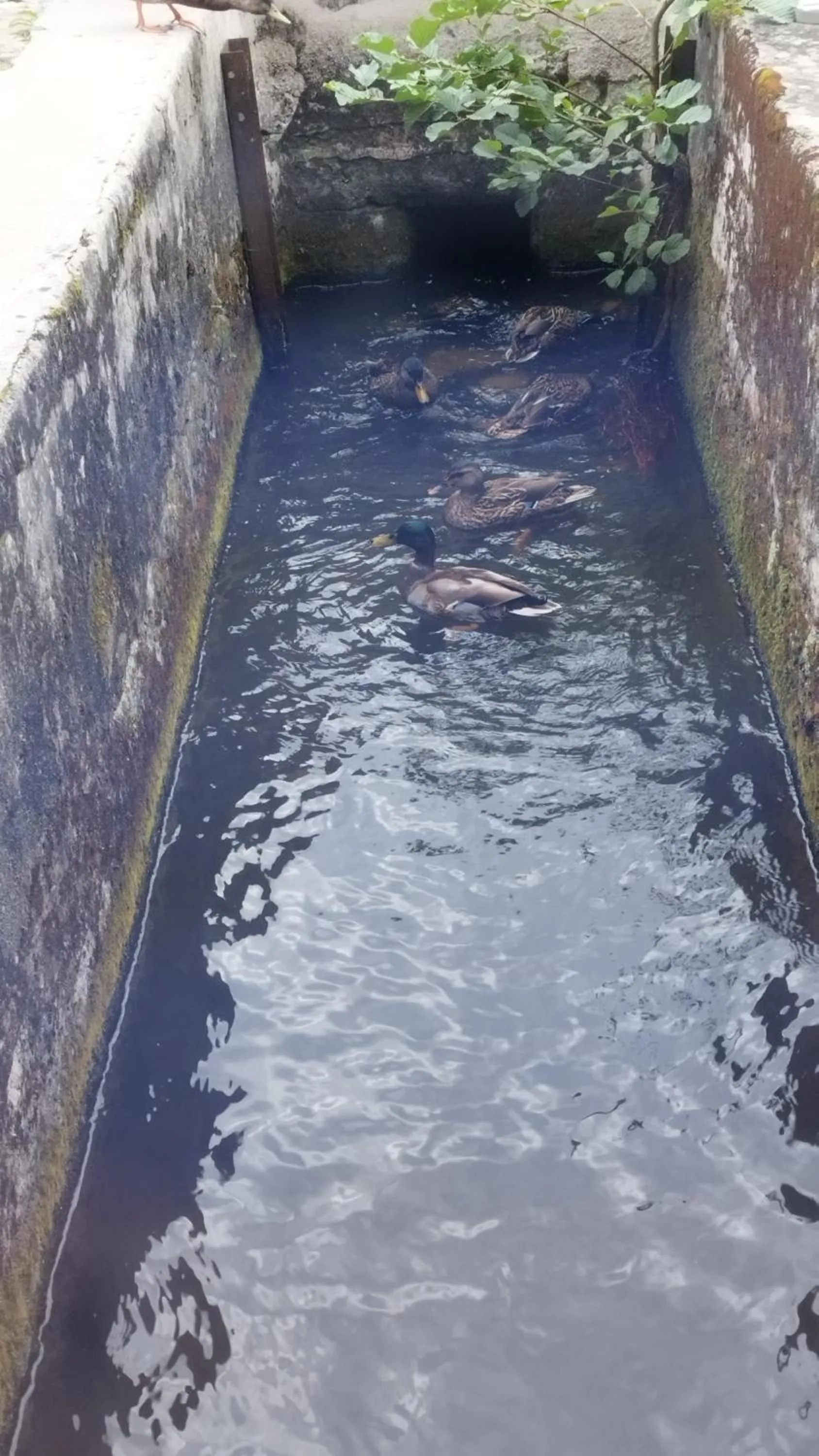 Hotel Moulin de Villiers