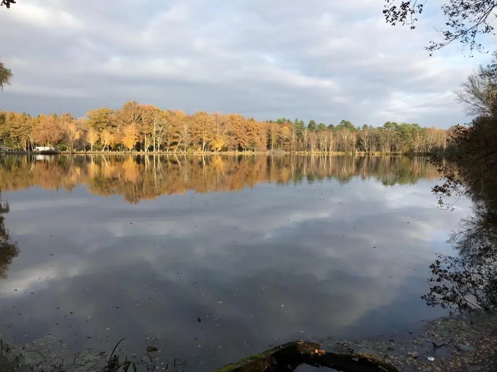 Natural landscape in Hotel Moulin de Villiers