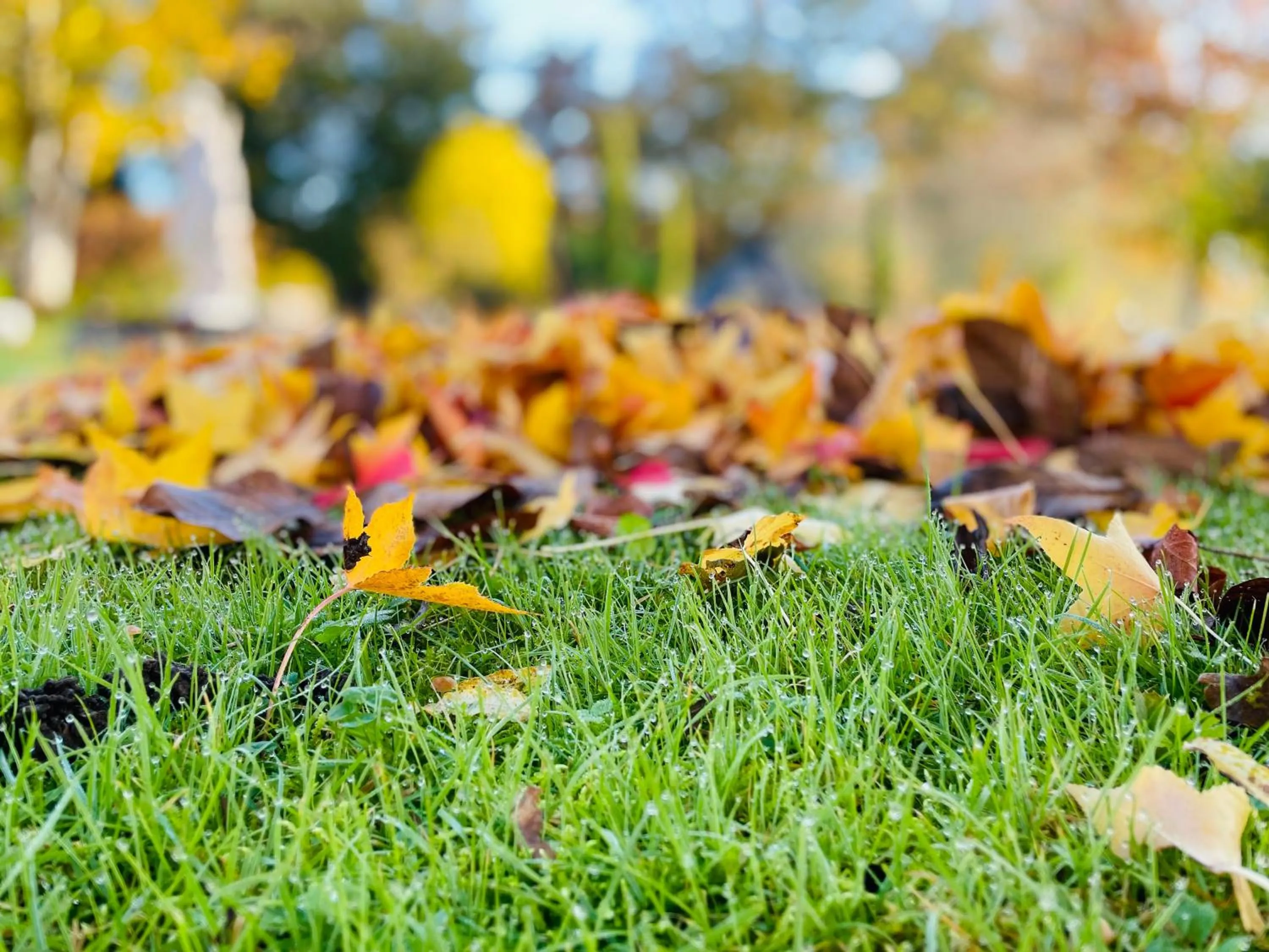 Day in Hotel Moulin de Villiers