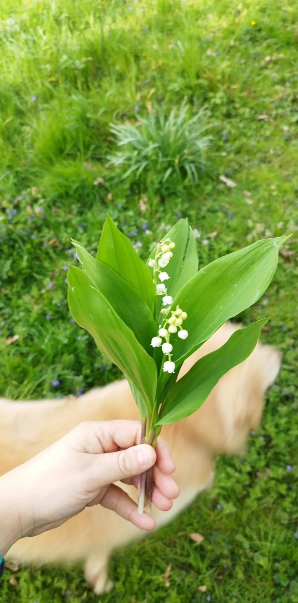 Spring in Hotel Moulin de Villiers