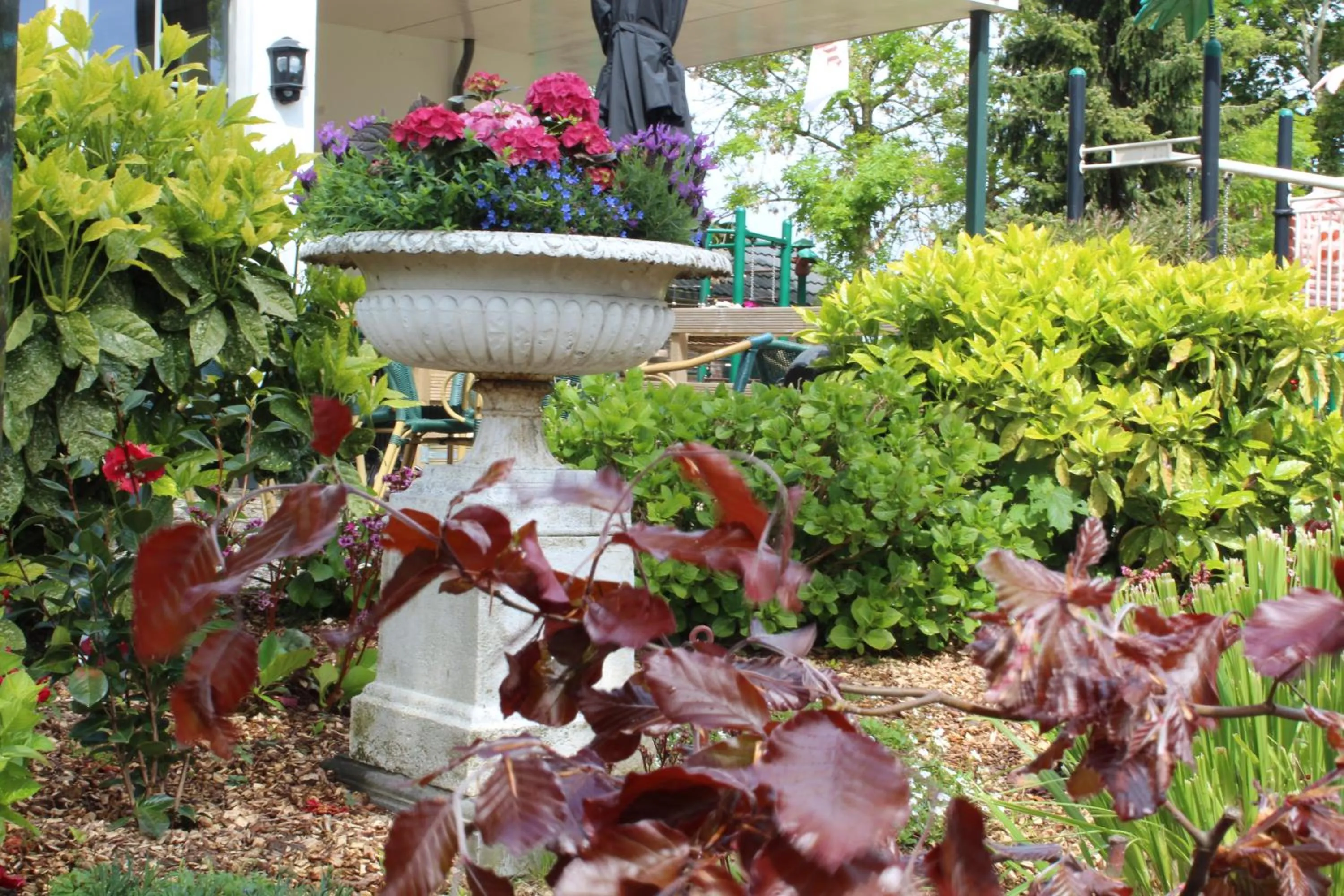 Garden in de Brabantse Biesbosch