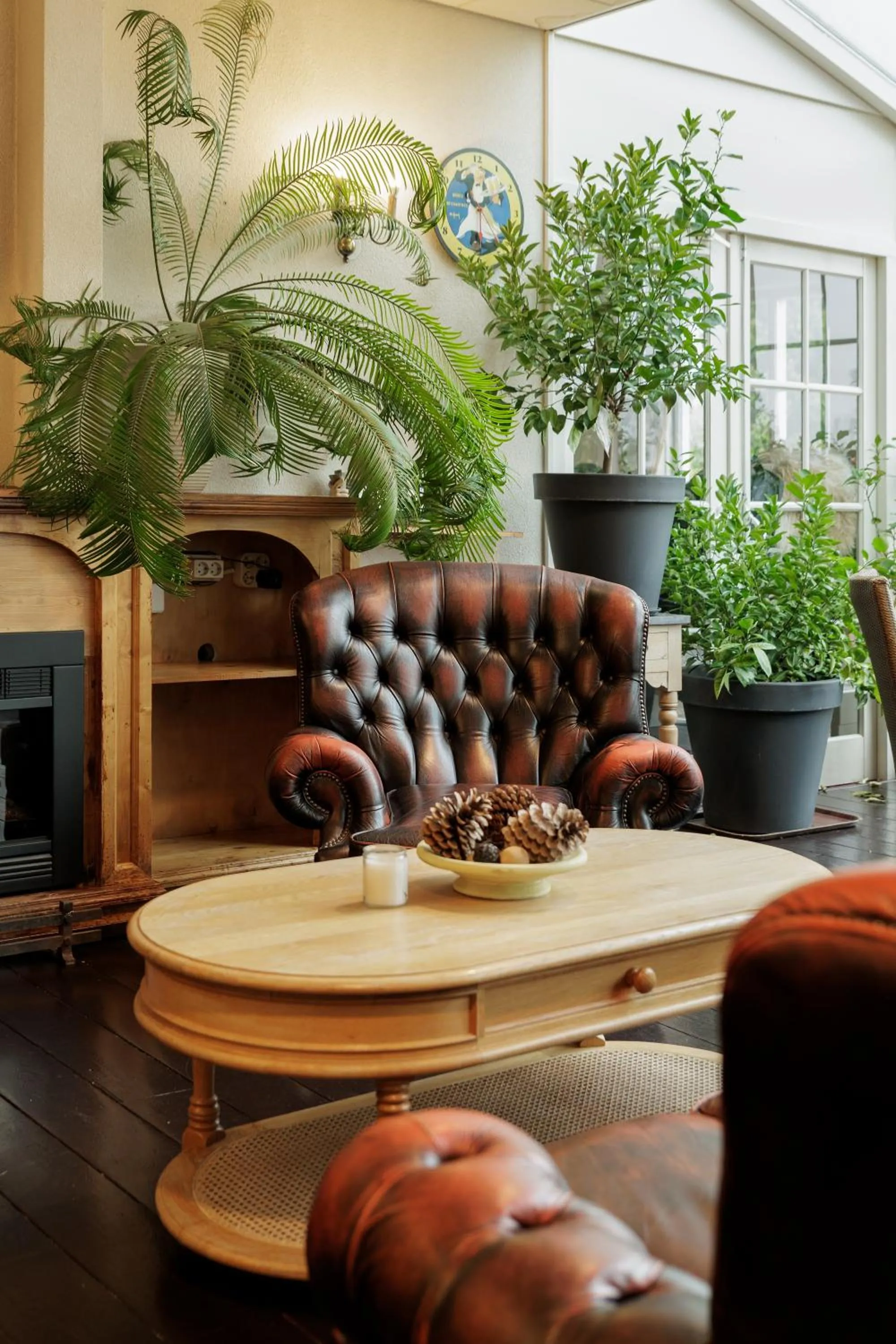 de Brabantse Biesbosch