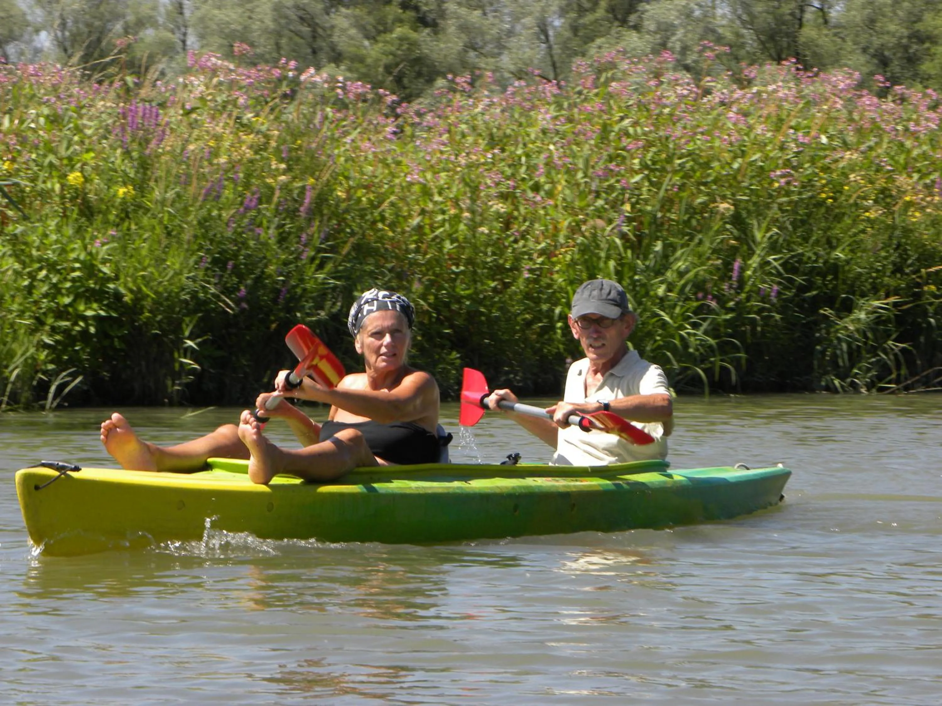 Canoeing in de Brabantse Biesbosch