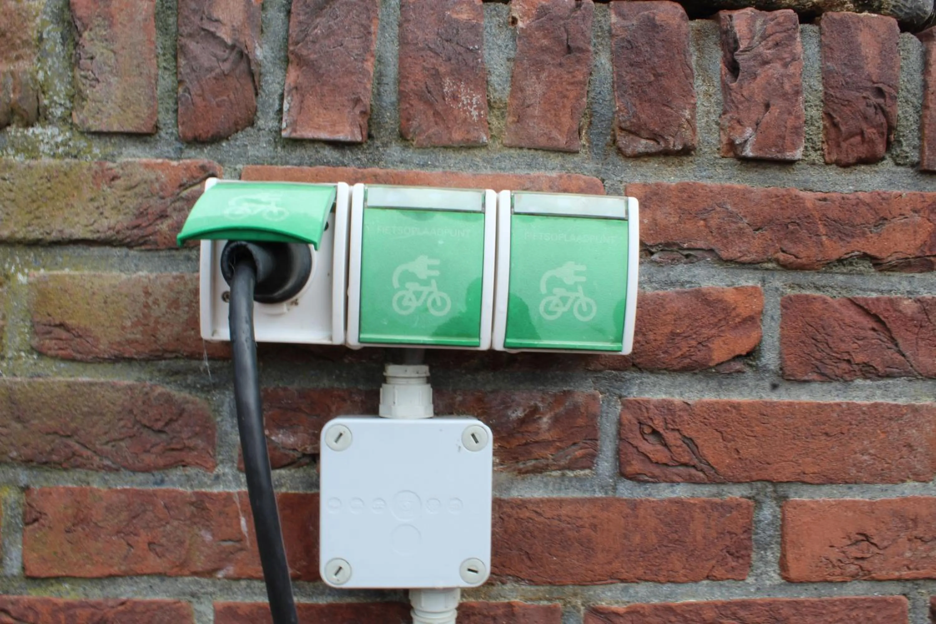 Cycling in de Brabantse Biesbosch