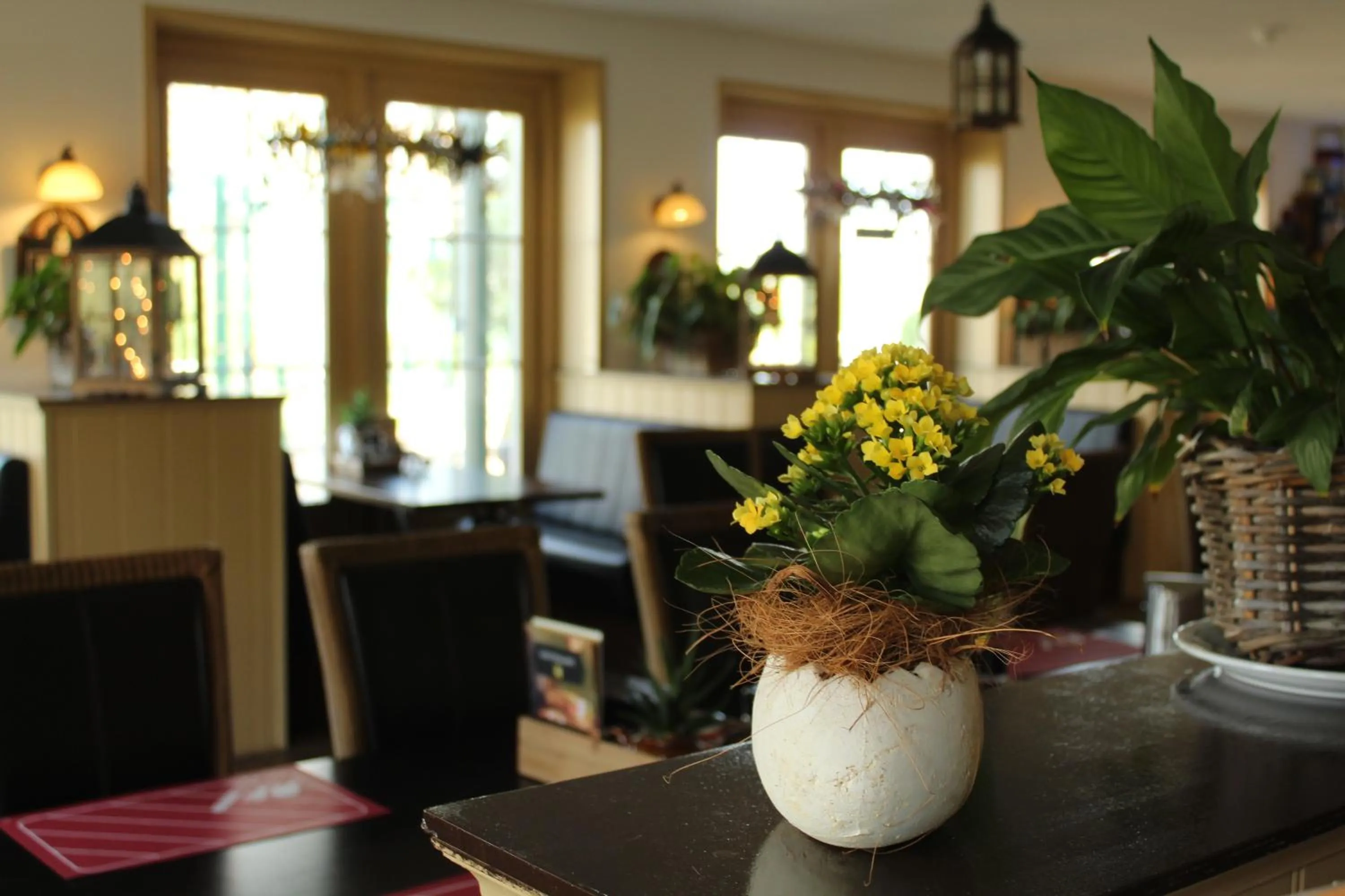 Restaurant/places to eat in de Brabantse Biesbosch