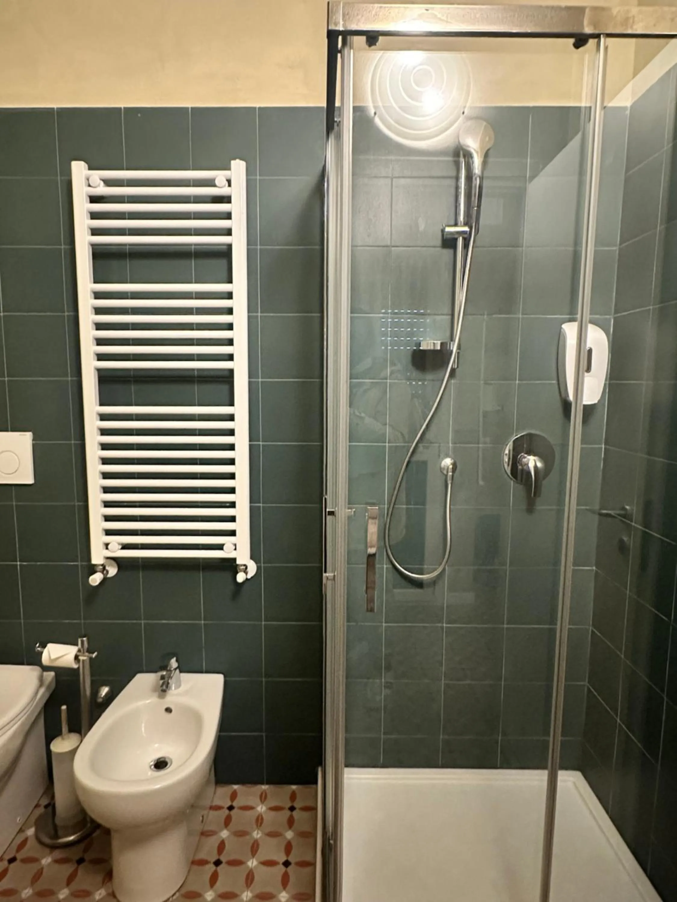 Shower in Villa Giovanna Citylife Milano