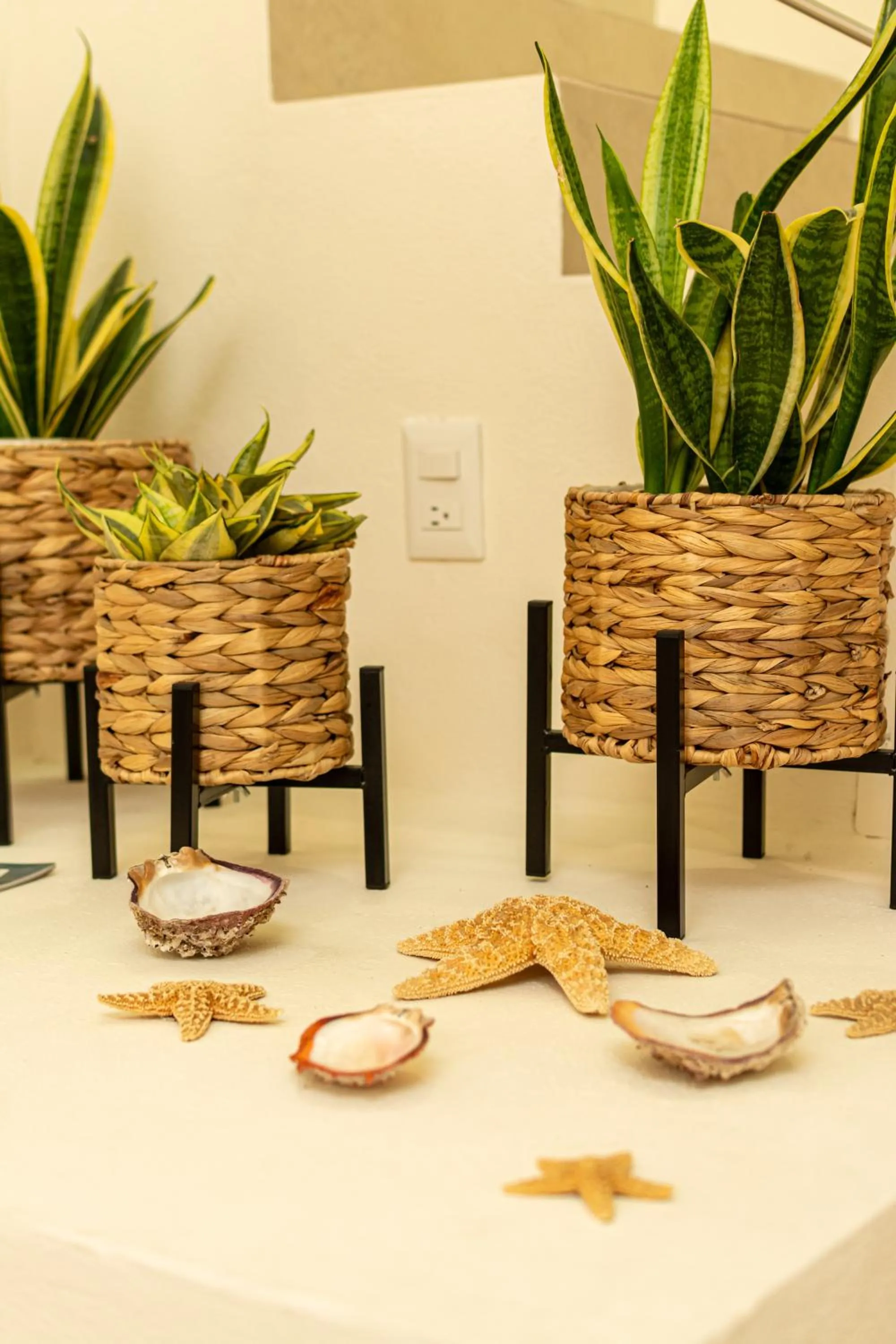 Property building in Ma-Jo Sayulita Hotel