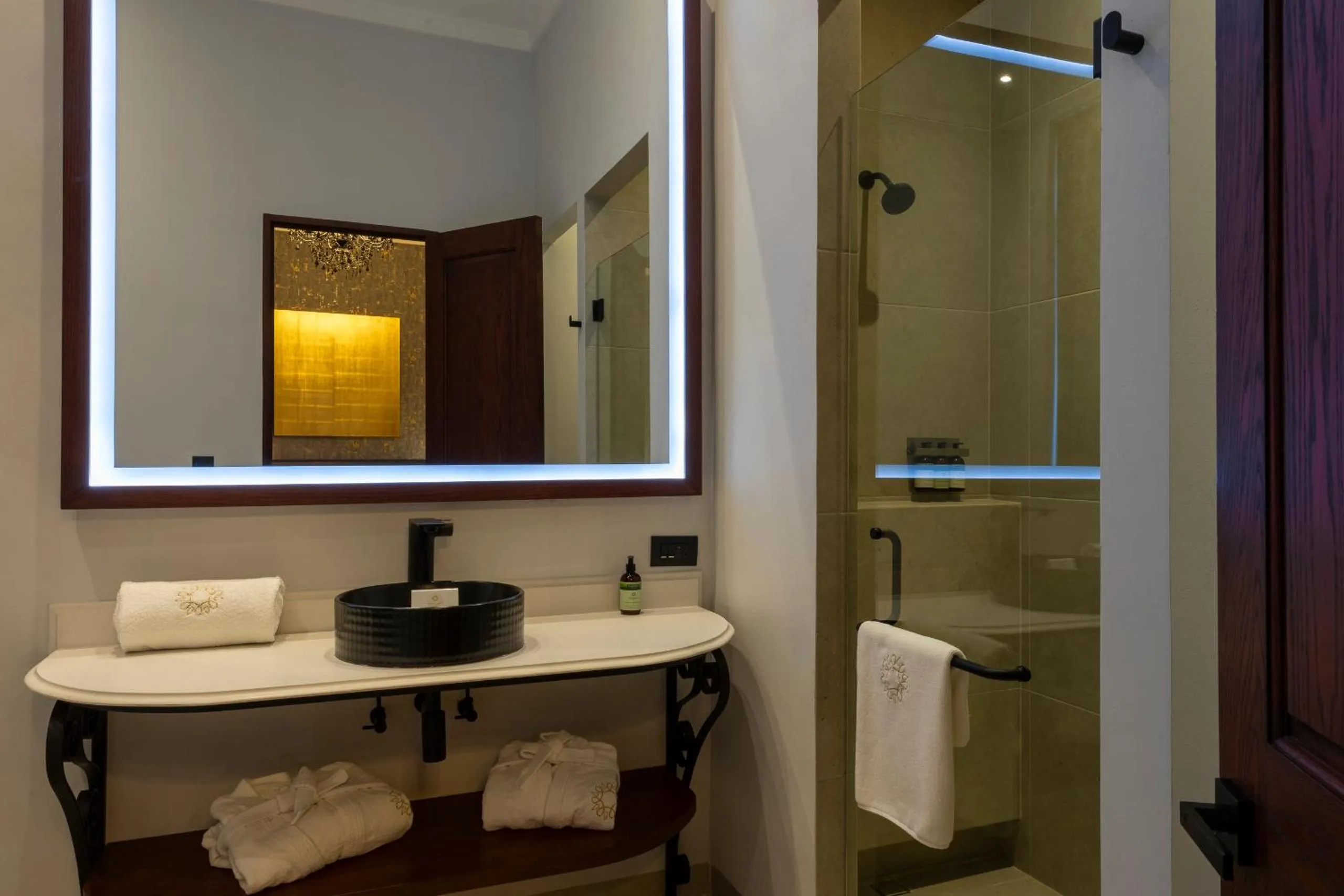 Shower in Hotel Bellas Artes