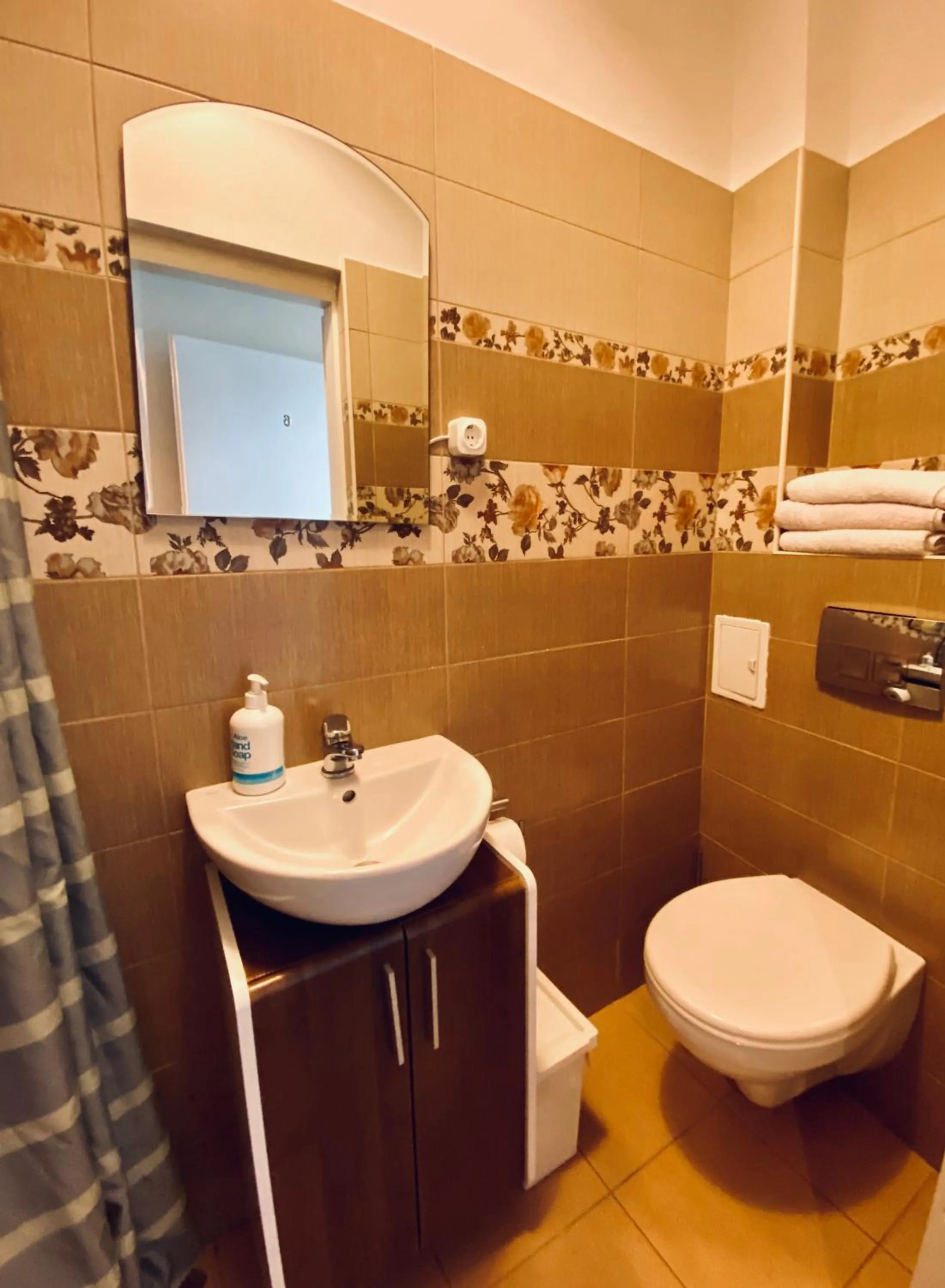 Bathroom in Casa Balcescu