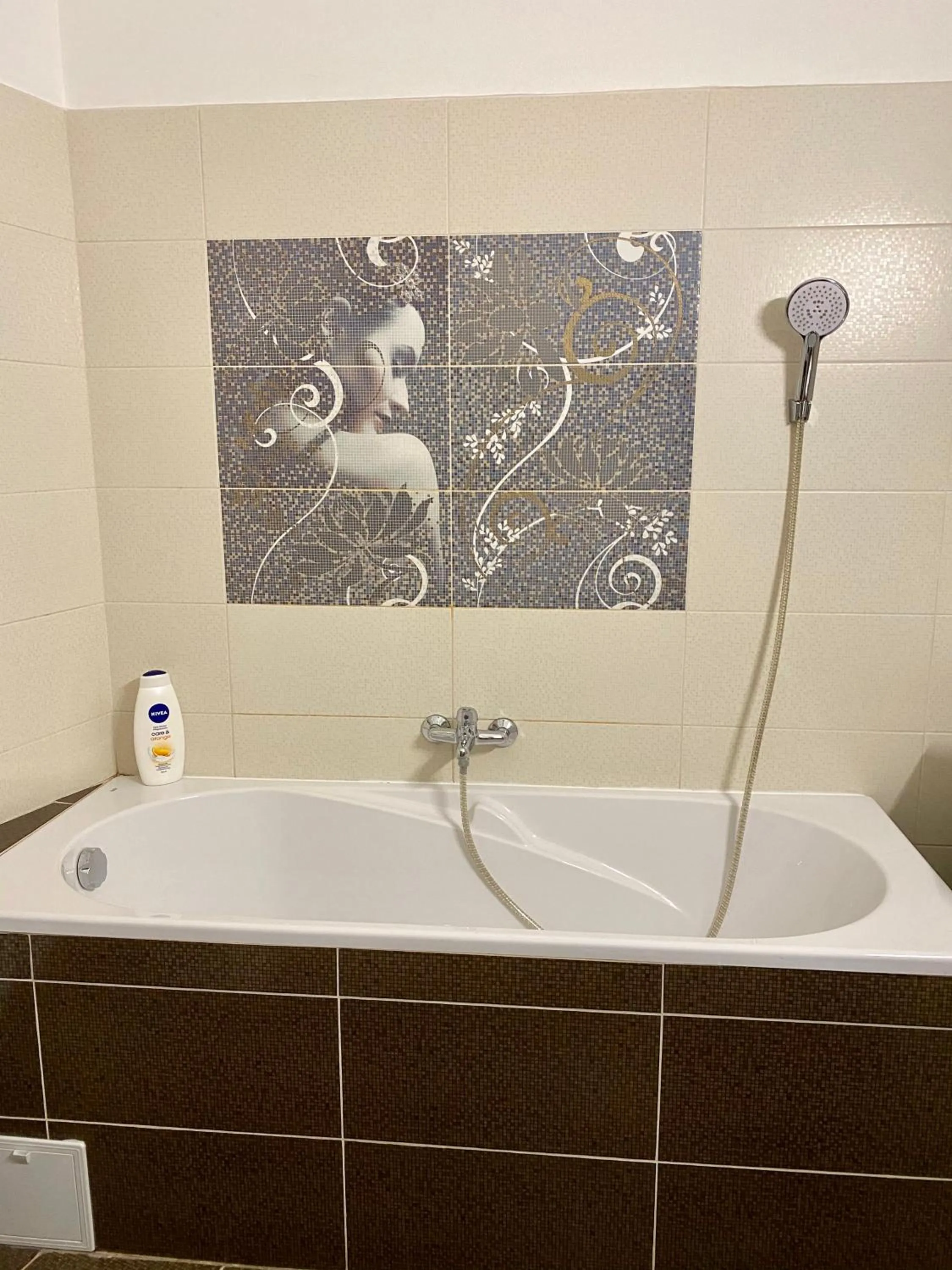 Bathroom in Casa Balcescu