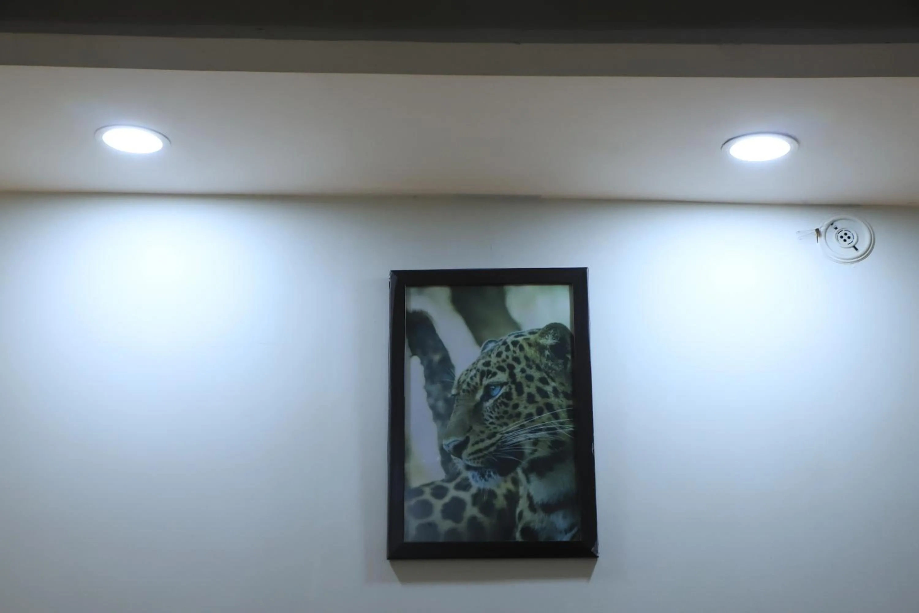 Decorative detail in Corbett Paradiso Resort Dikhuli