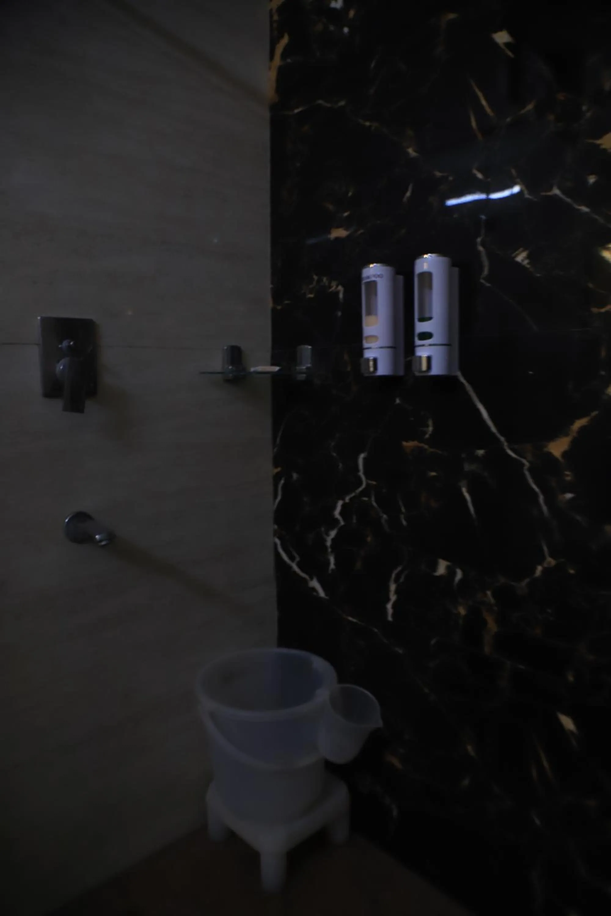 Bathroom in Corbett Paradiso Resort Dikhuli
