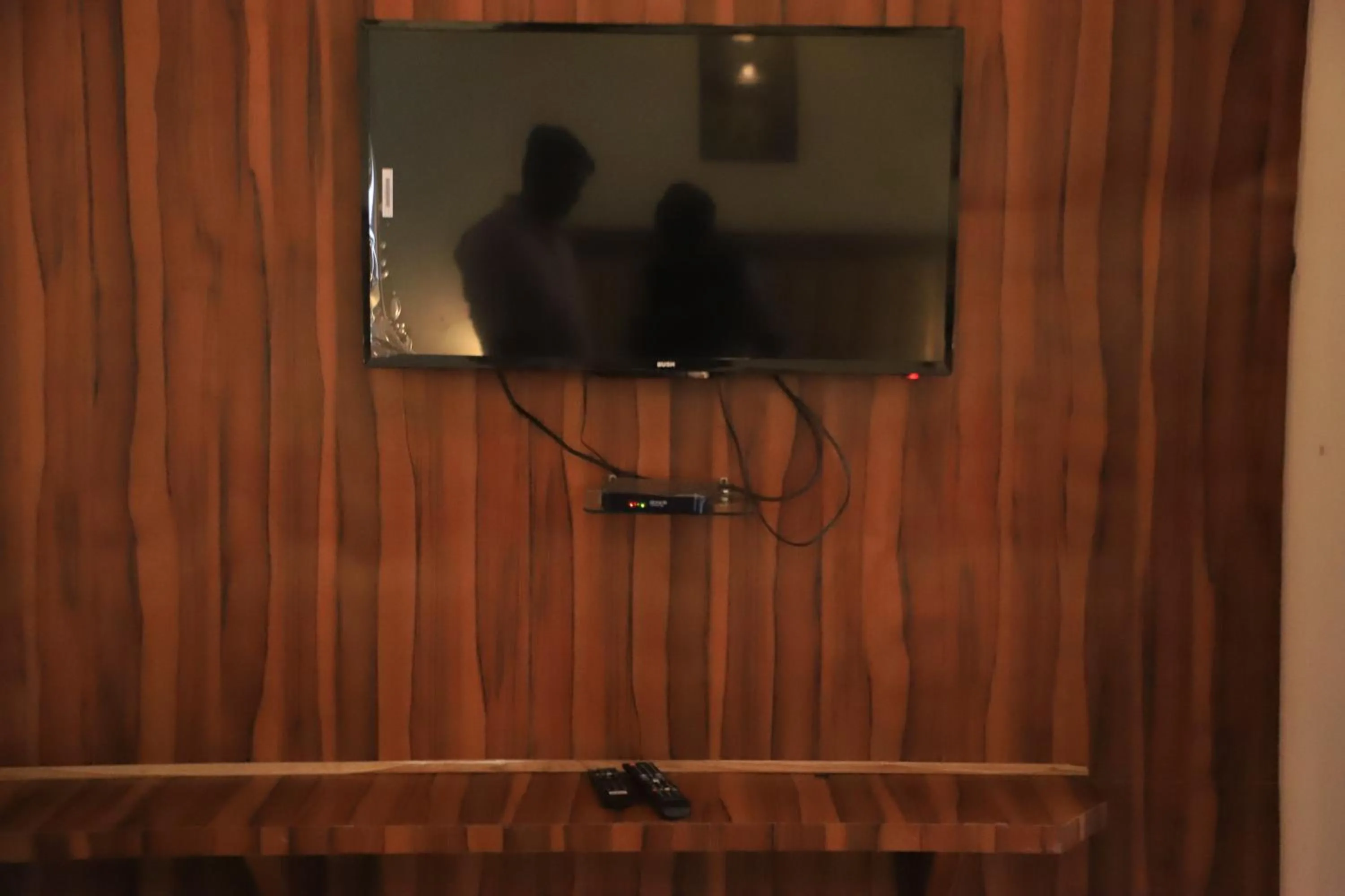 TV and multimedia in Corbett Paradiso Resort Dikhuli