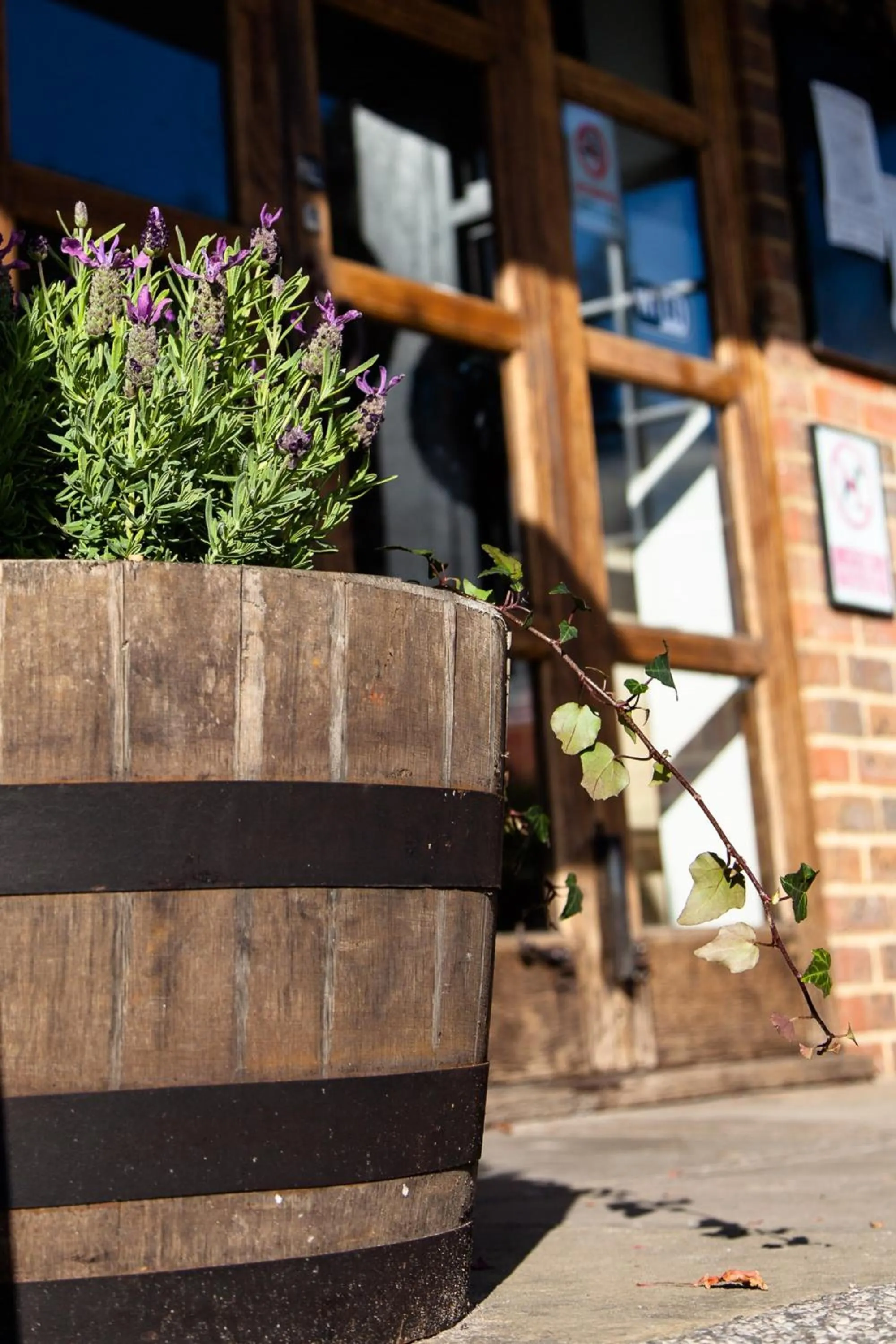 On site in Buffalo Bill's