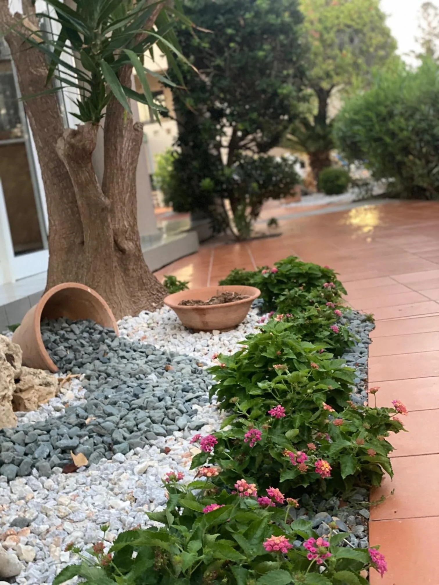 Garden in Creteco Hotel & Suites