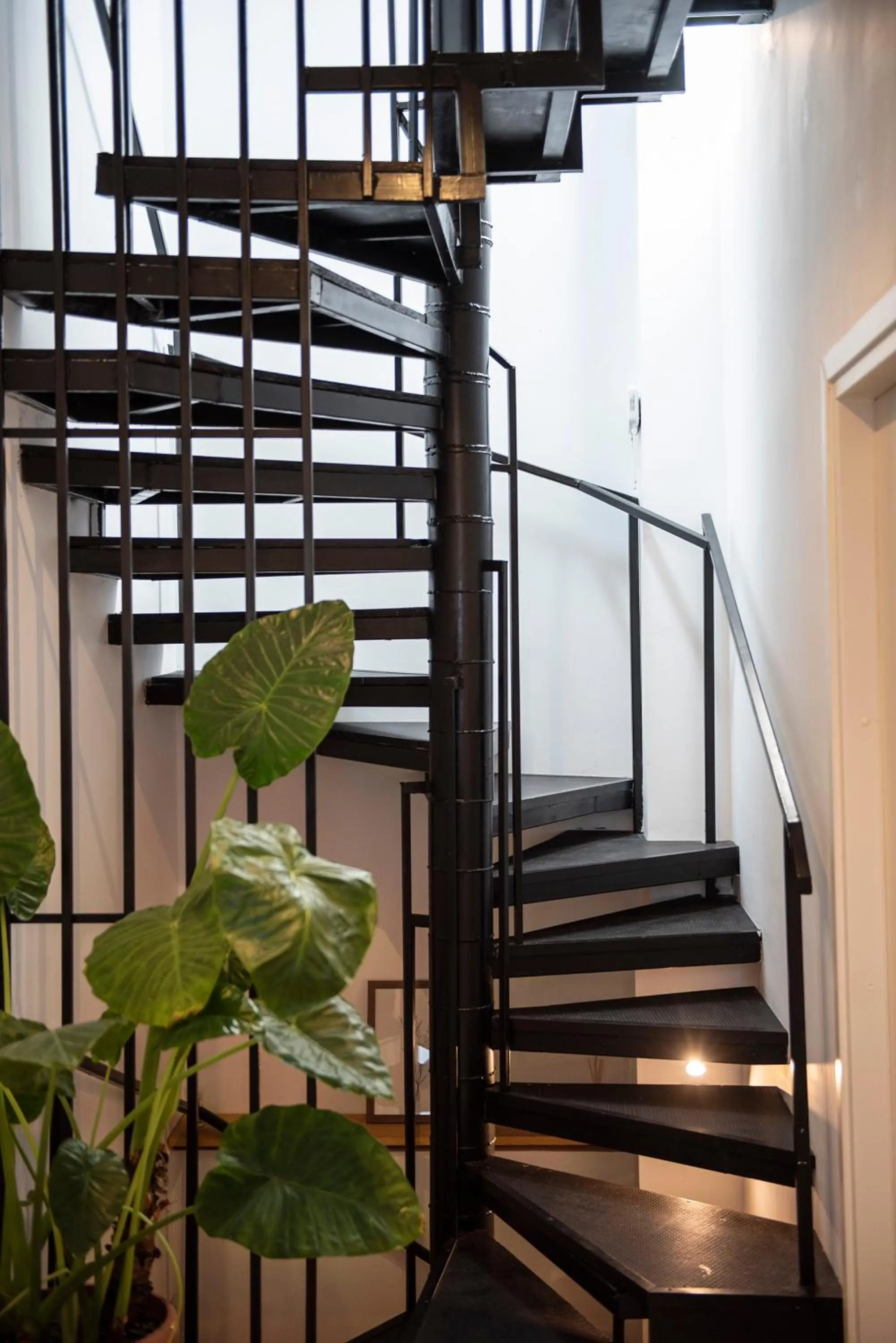 Decorative detail in LazyNest Residence