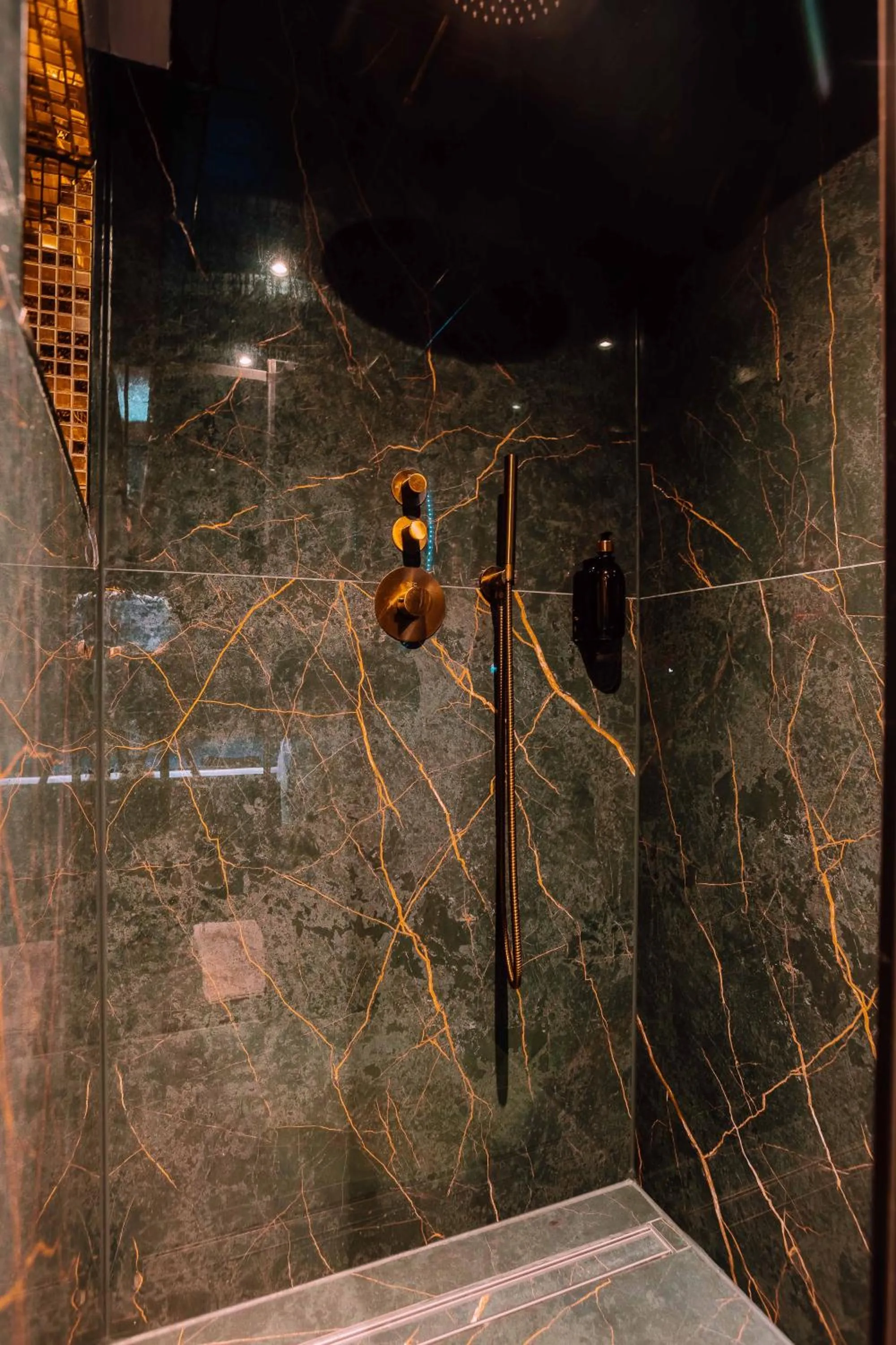 Shower in Hotel de Prince