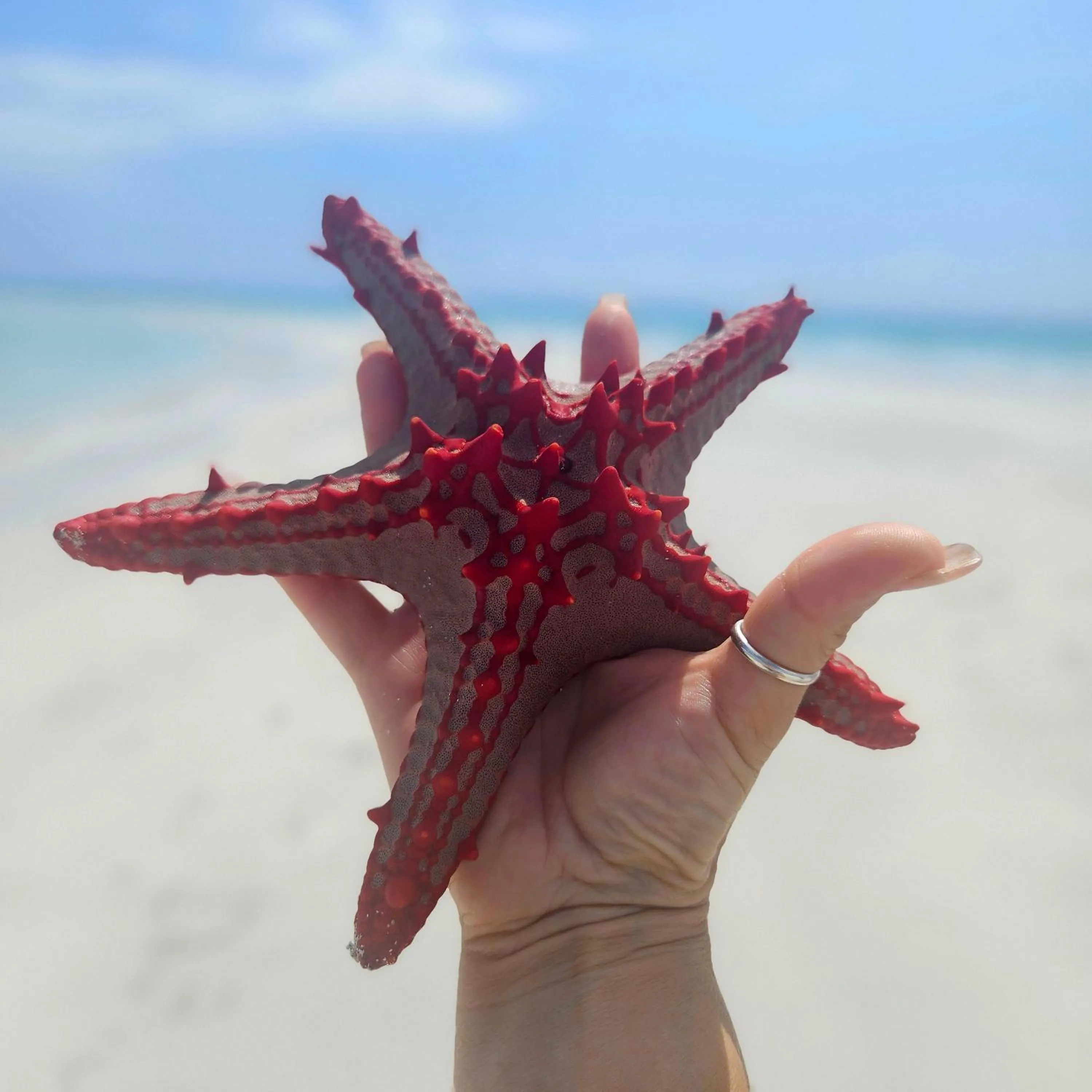 Other in Maharaja Boutique Hotel Zanzibar