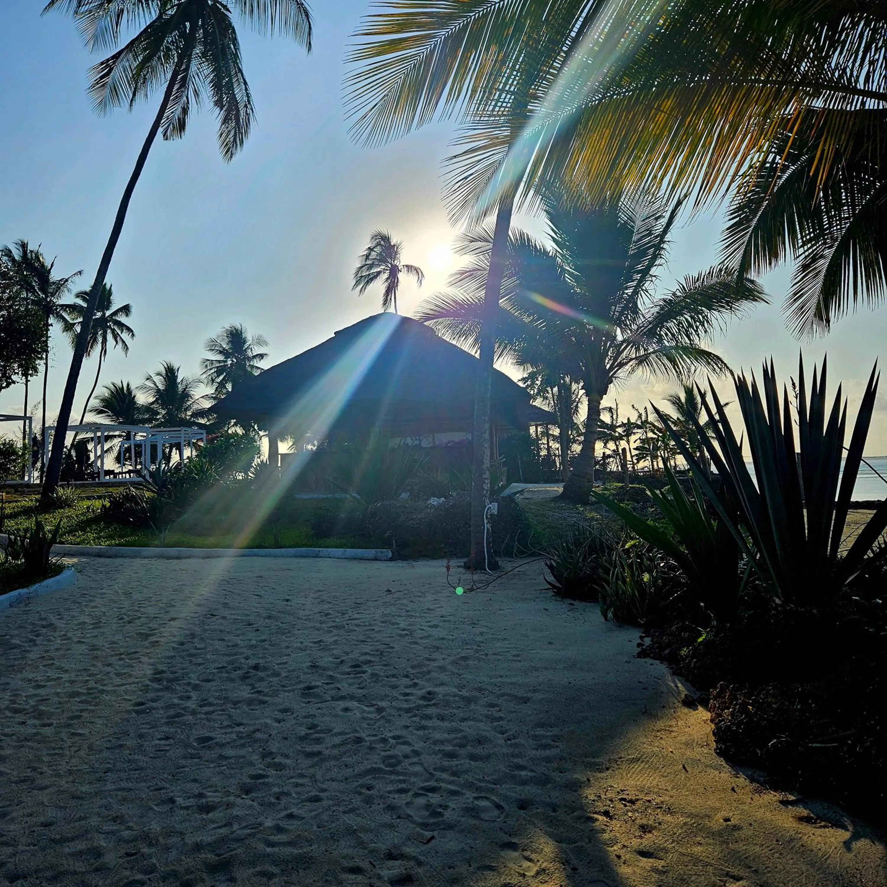Beach in Maharaja Boutique Hotel Zanzibar