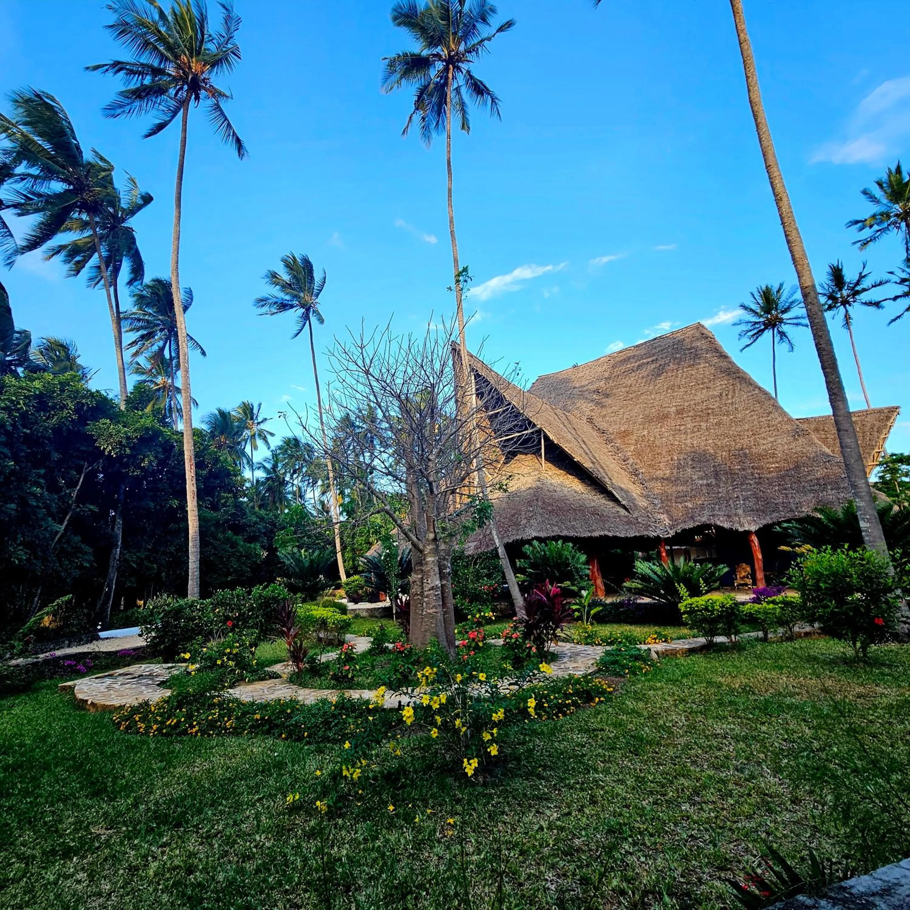 Garden in Maharaja Boutique Hotel Zanzibar