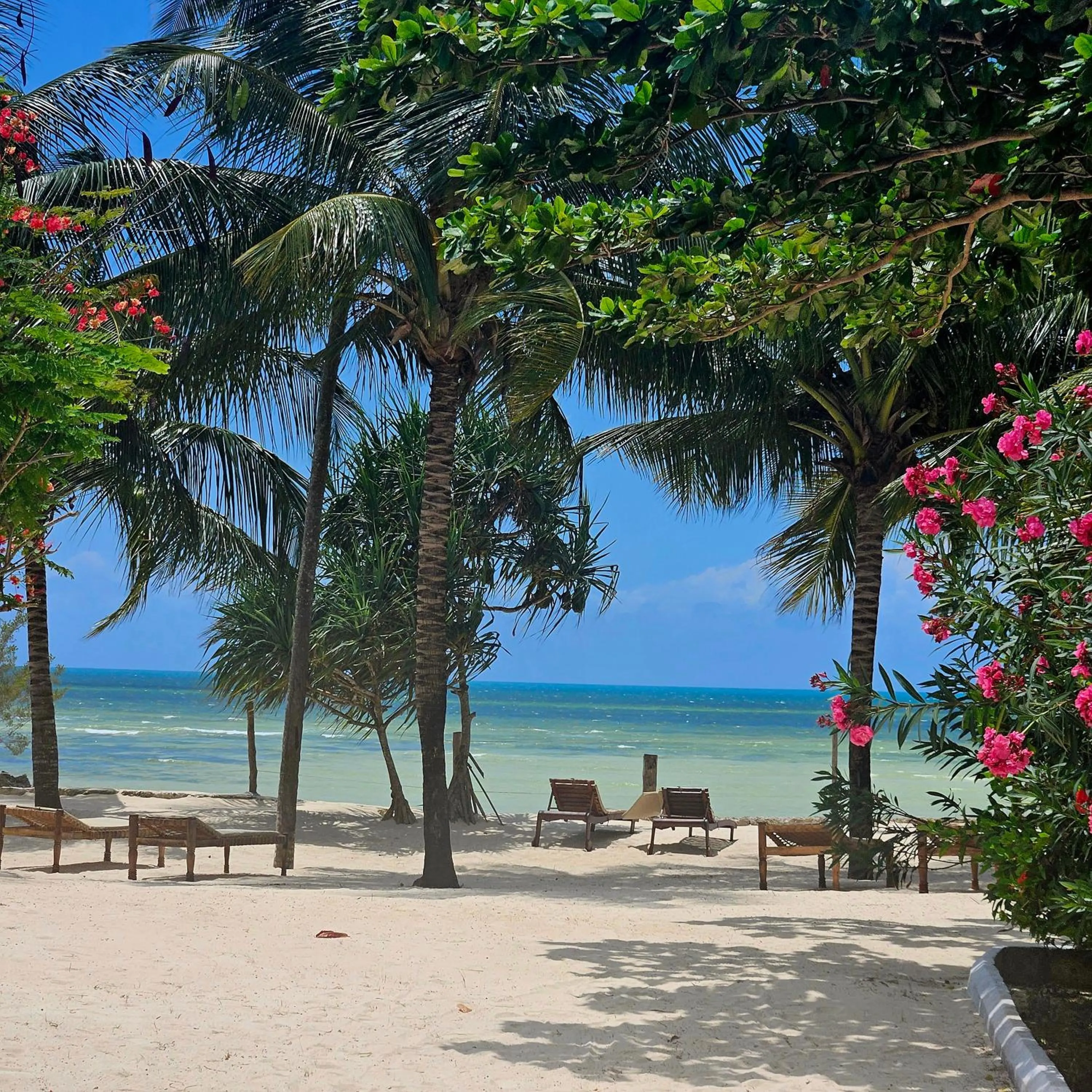 Beach in Maharaja Boutique Hotel Zanzibar