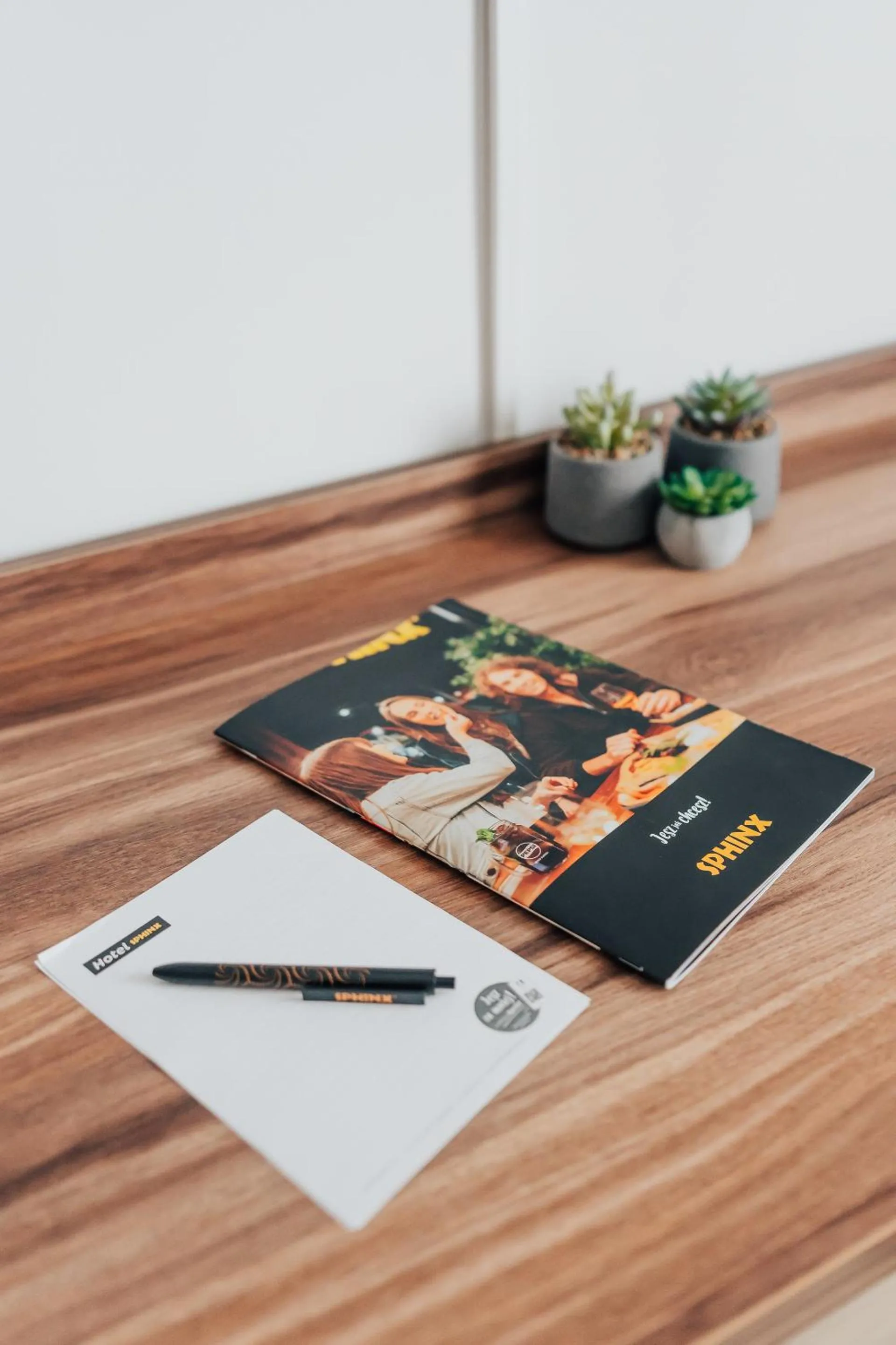 Photo of the whole room in Hotel Sphinx