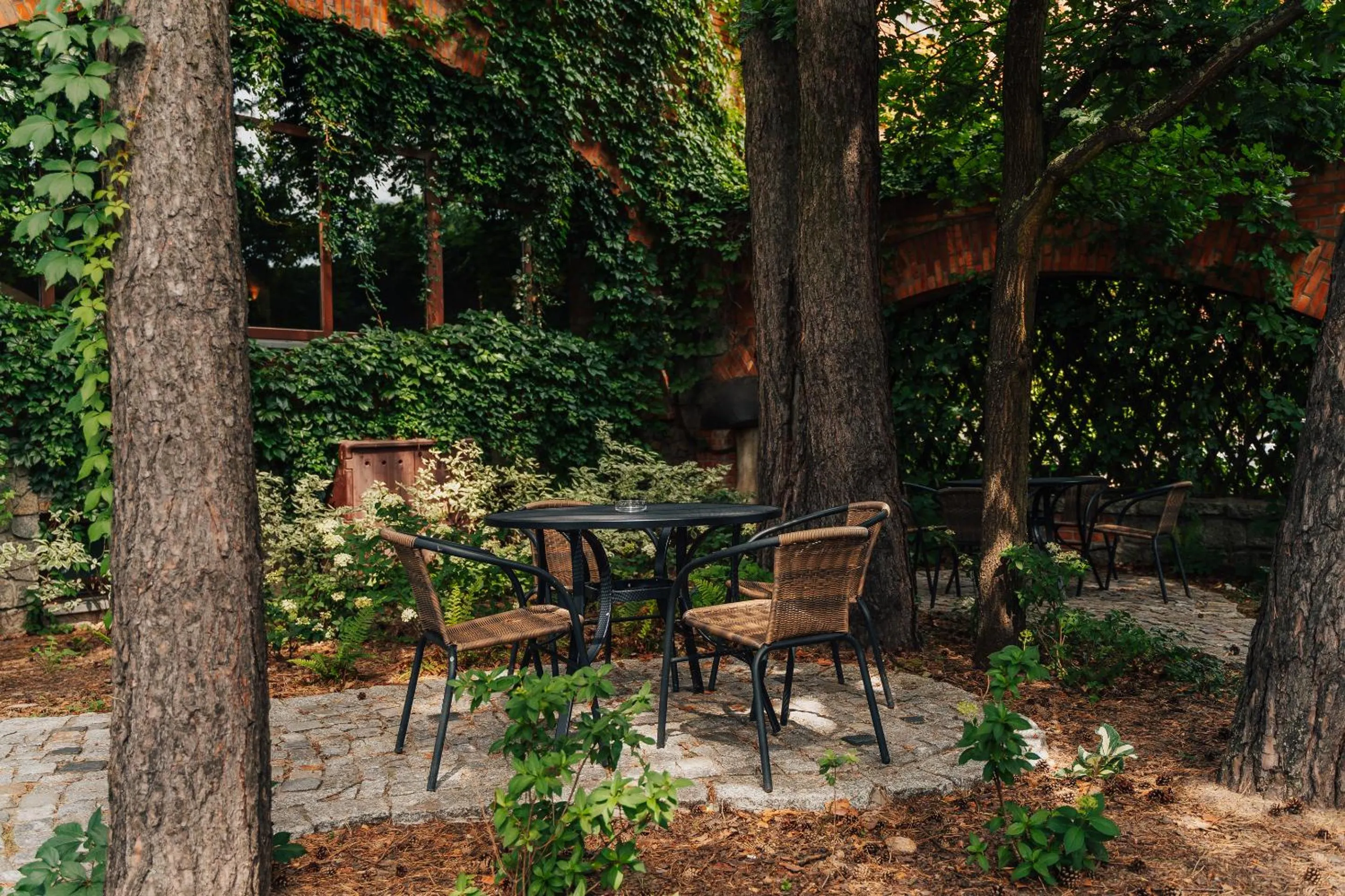 Patio in Hotel Sphinx