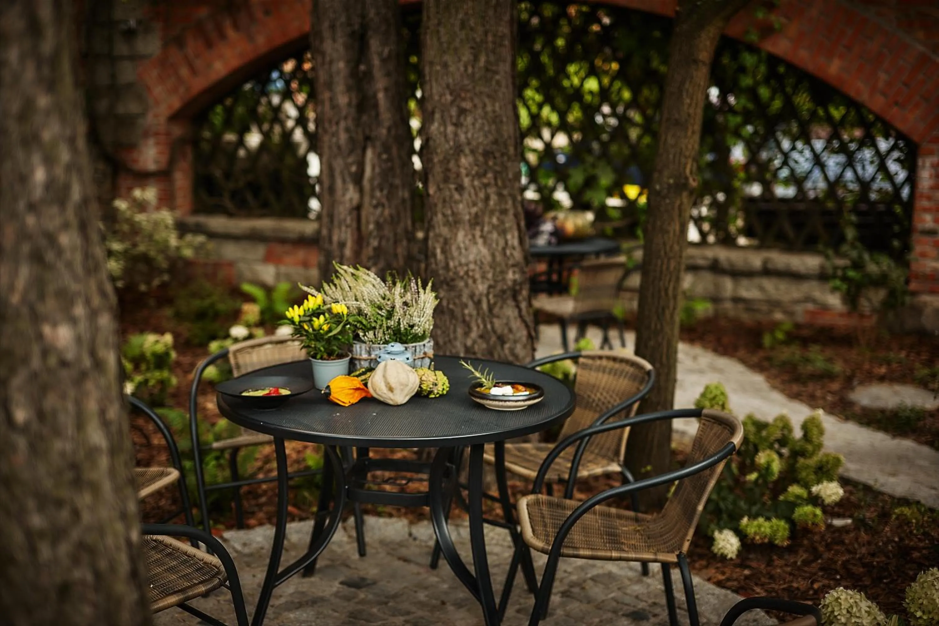 Garden in Hotel Sphinx