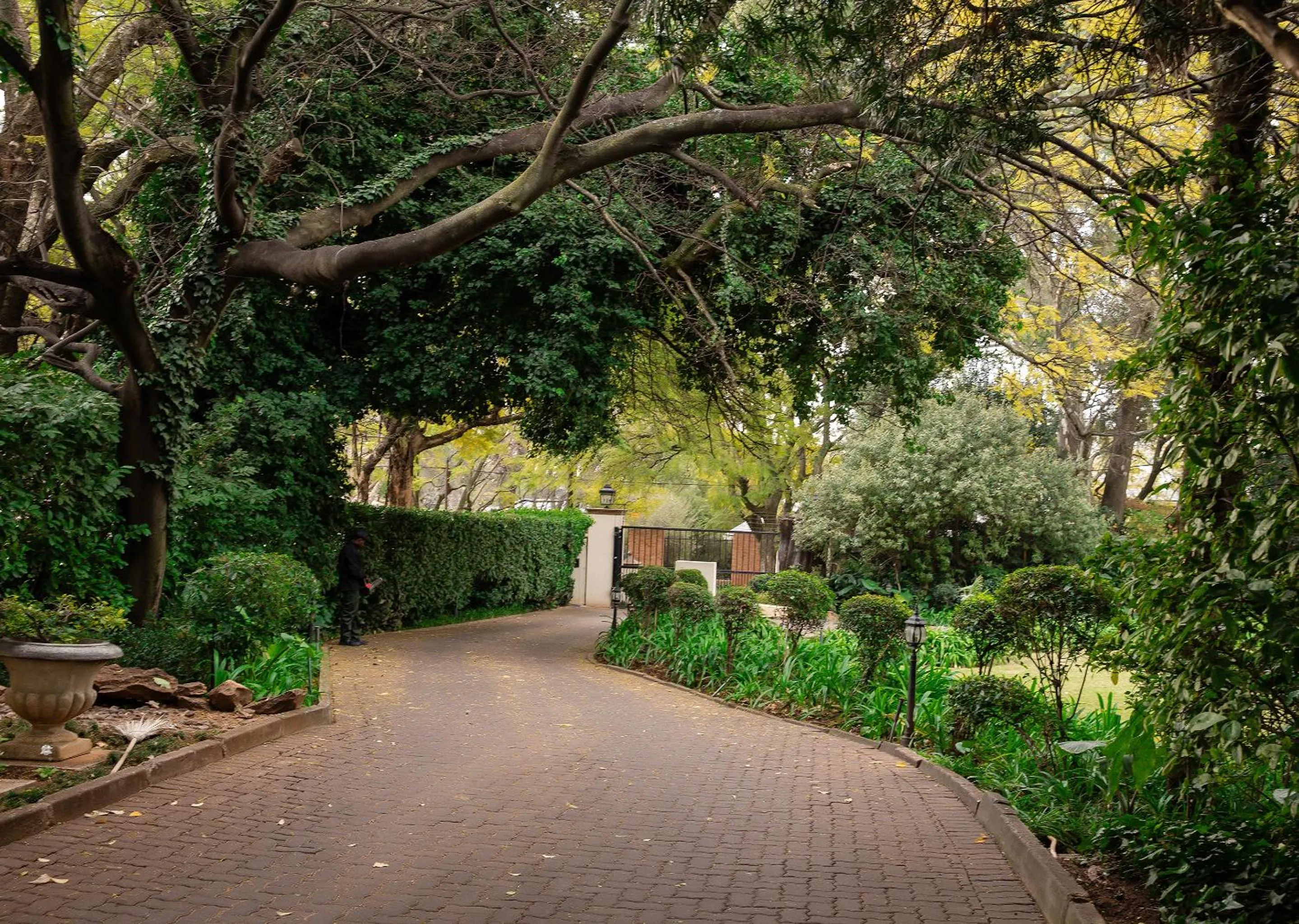 Spring in 10 2nd Avenue Houghton Estate by Dream Resorts