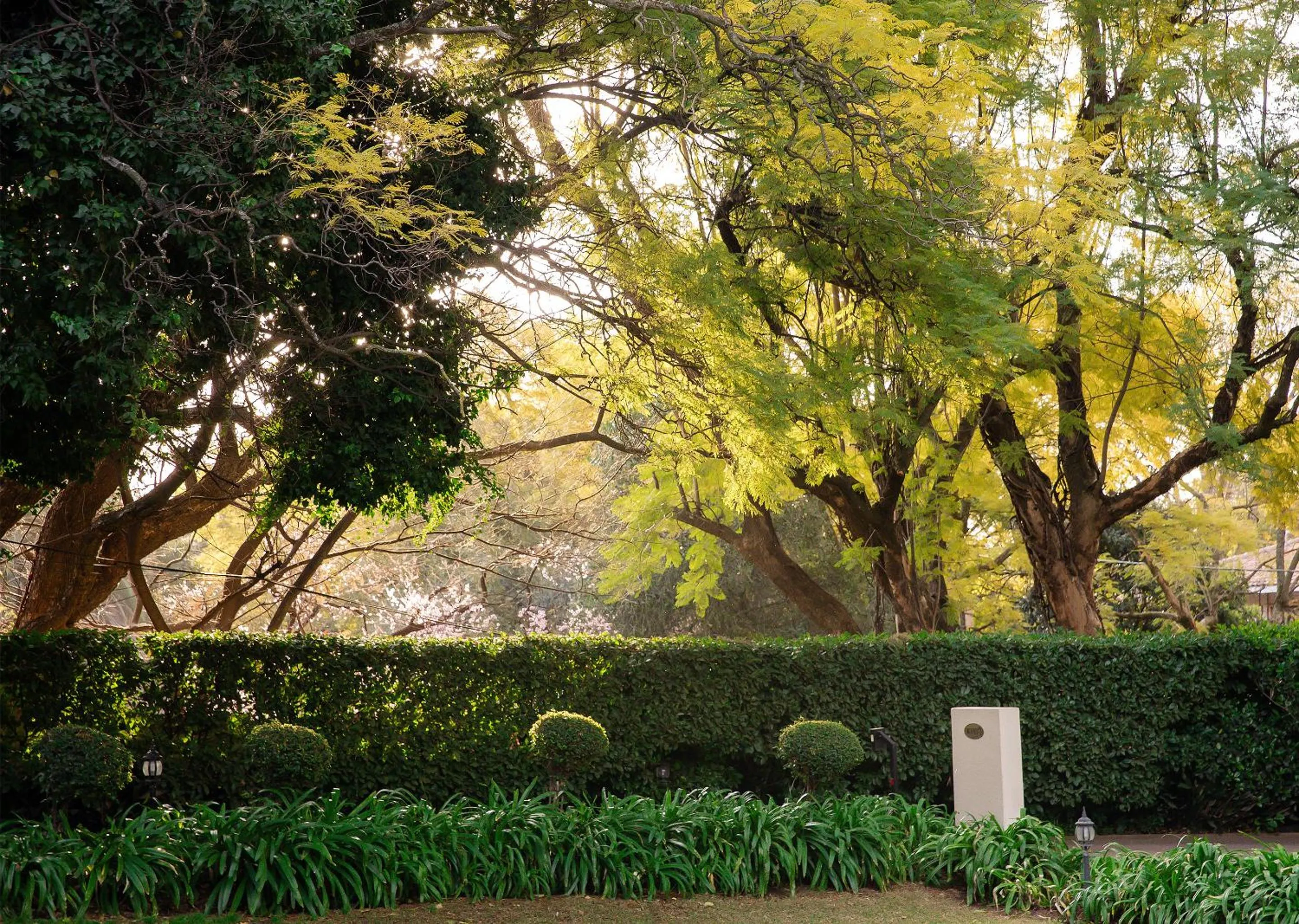 Spring in 10 2nd Avenue Houghton Estate by Dream Resorts