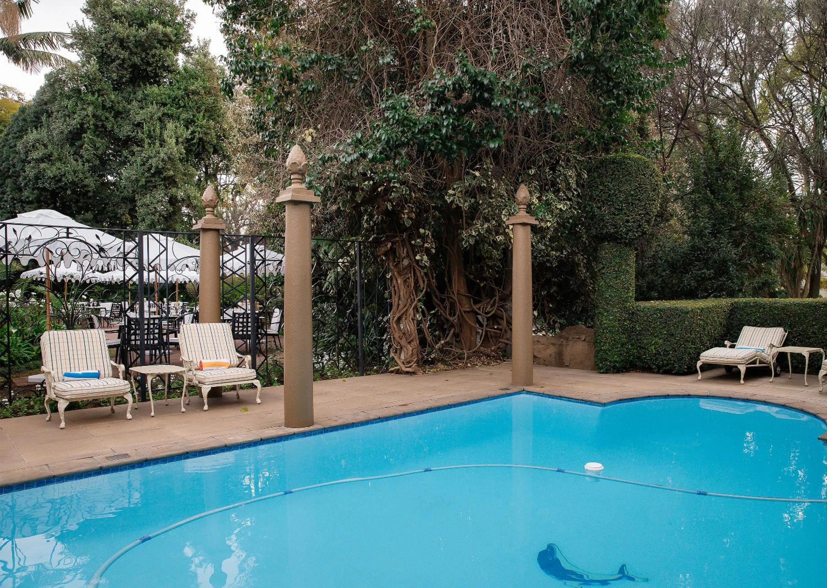 Patio in 10 2nd Avenue Houghton Estate by Dream Resorts