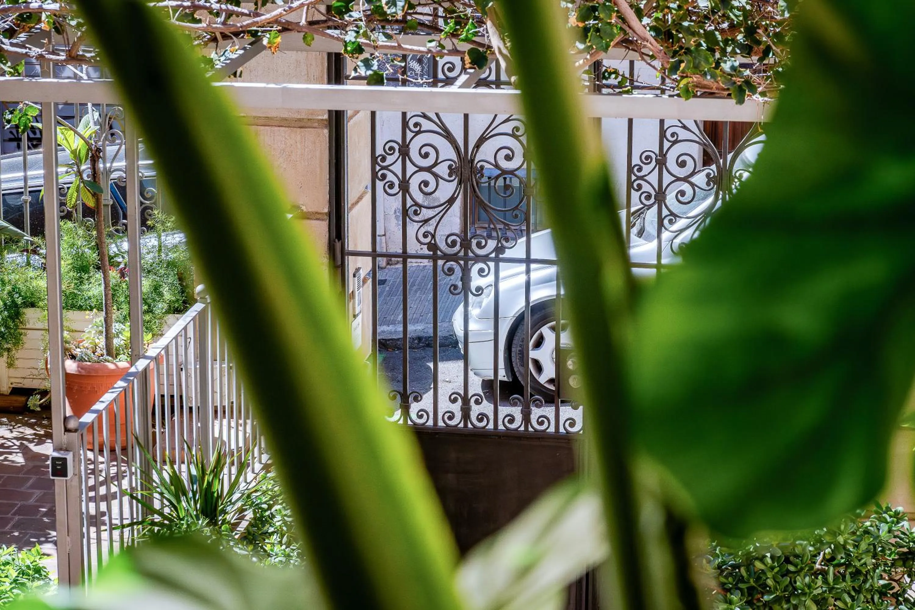 Garden view in Verdi 254