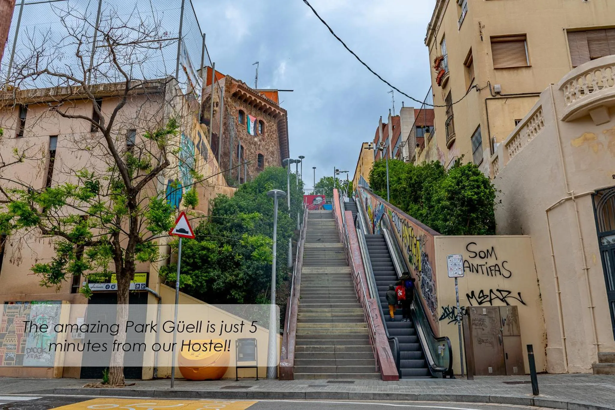 Street view in Verdi 254