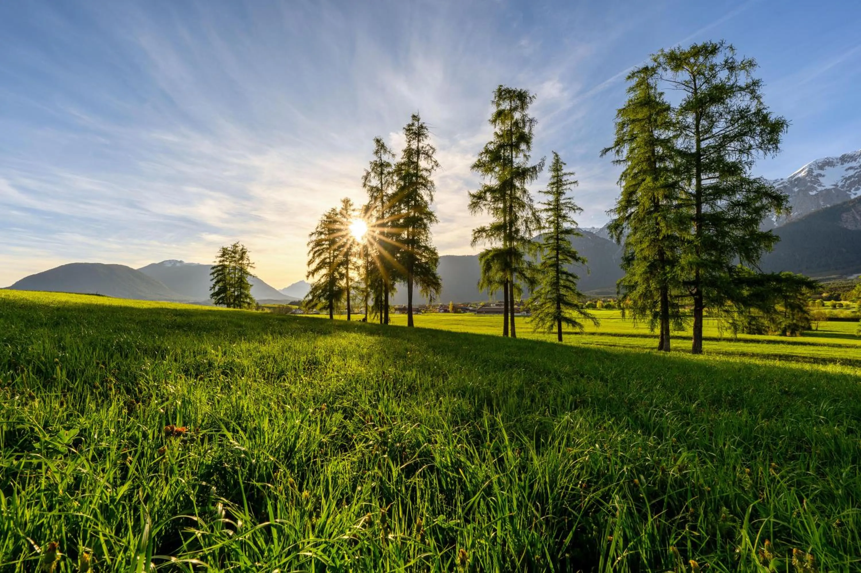 Other in Hotel Rietzer Hof