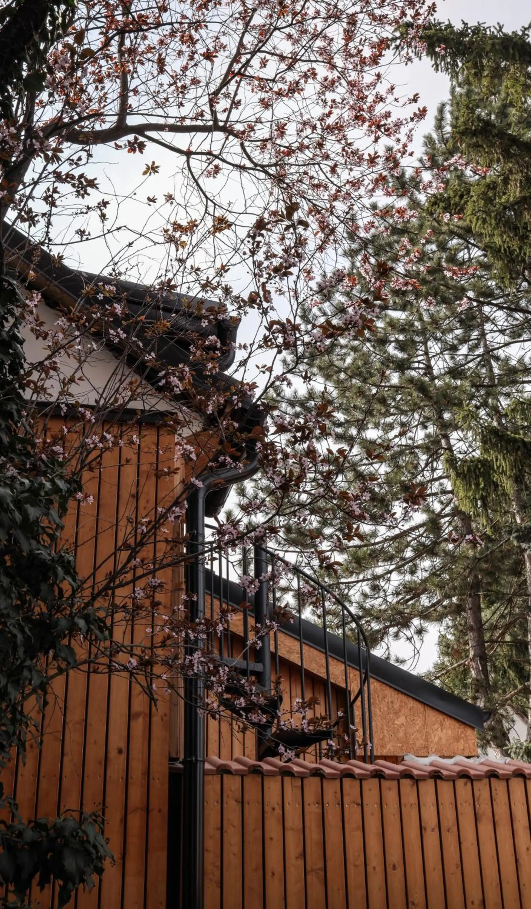 Garden in Golden Golem hotel & Spa