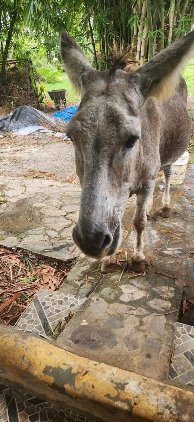 Fata Morgana Eco Hotel